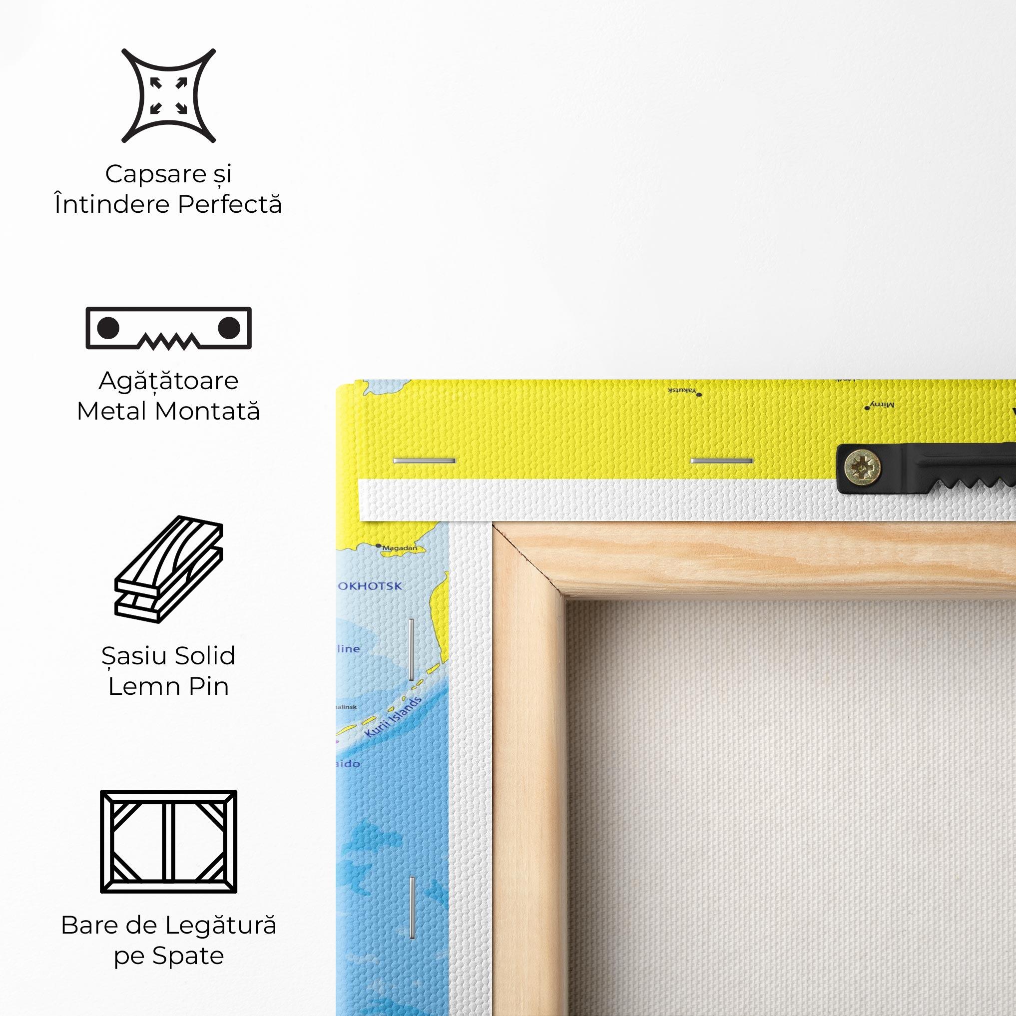 Tablou Canvas Asia Color Map mockup 5