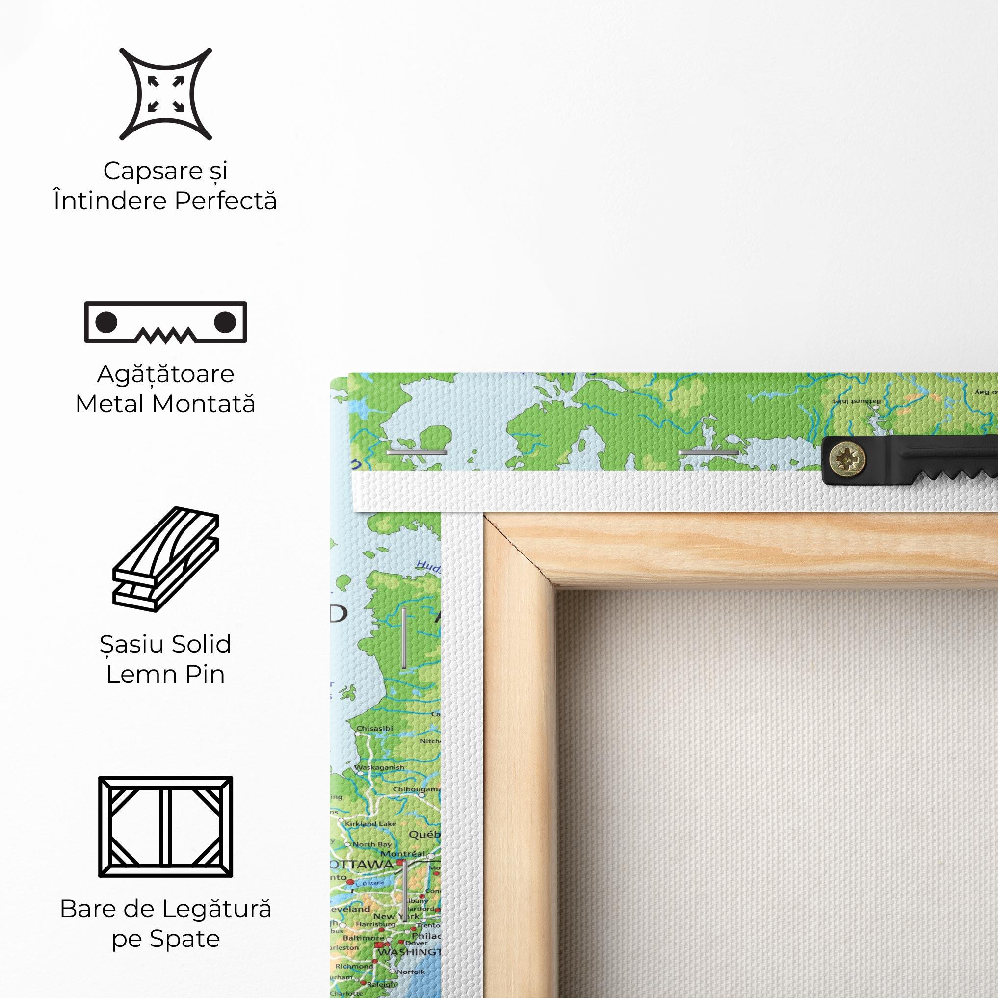 Tablou Canvas Canada mockup 5