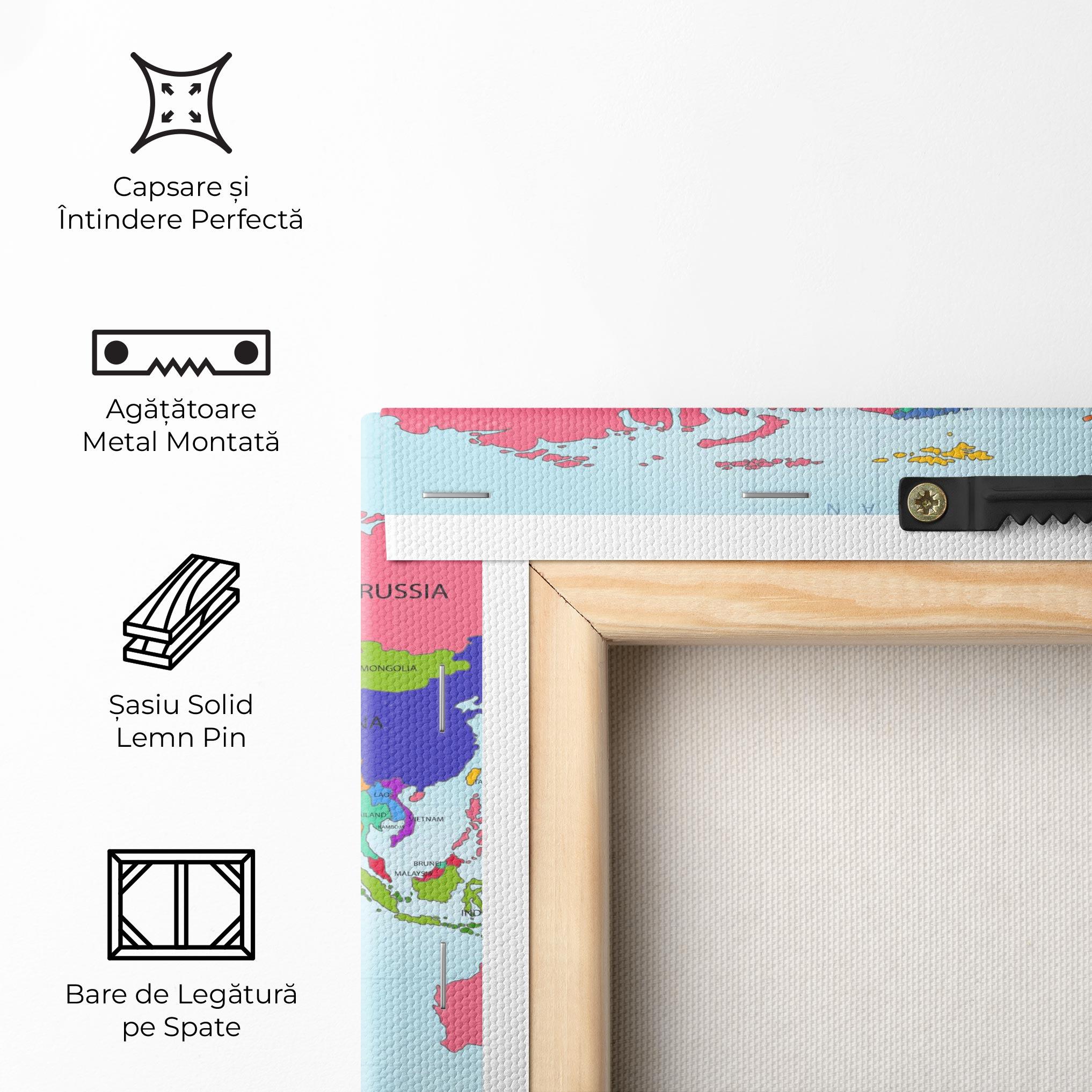 Tablou Canvas Colorful Continents mockup 5