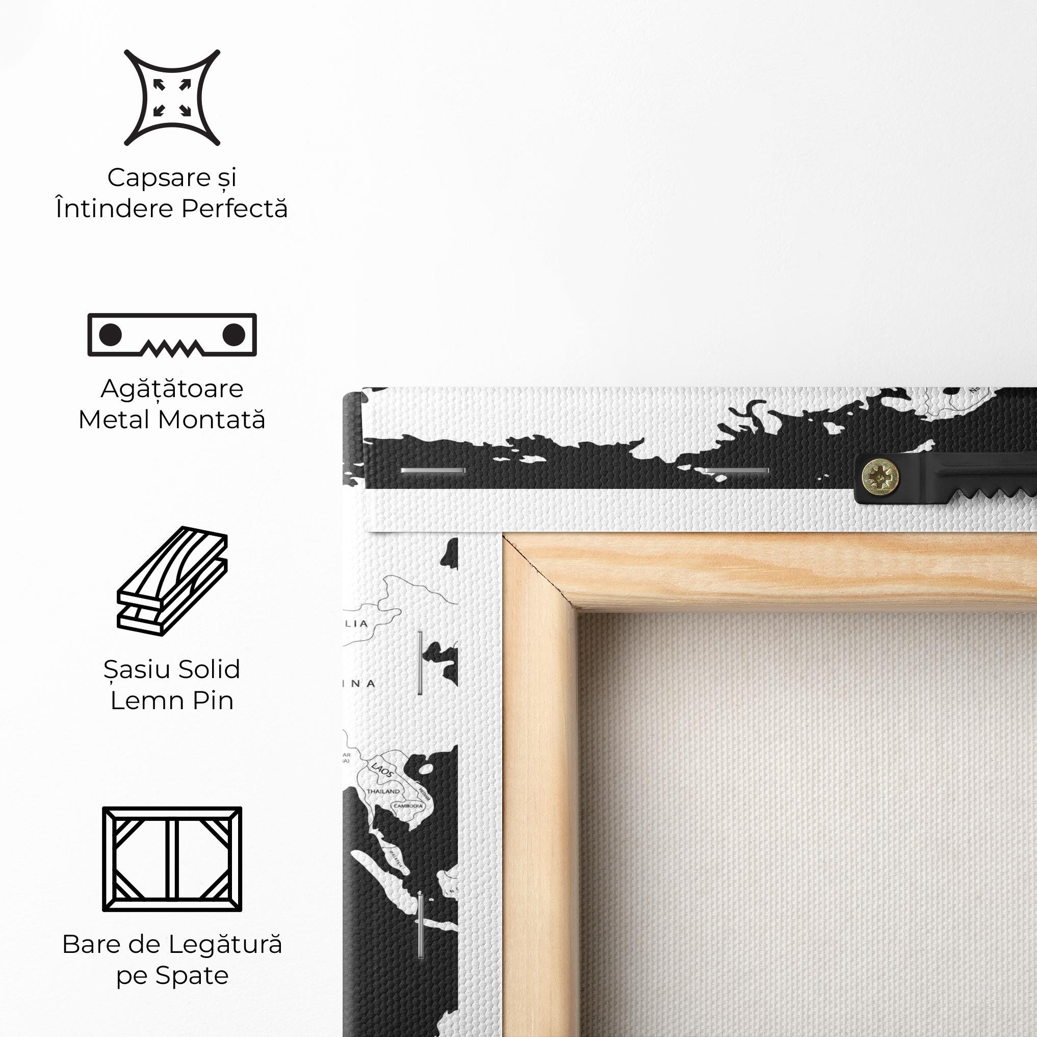 Tablou Canvas White World Map mockup 5