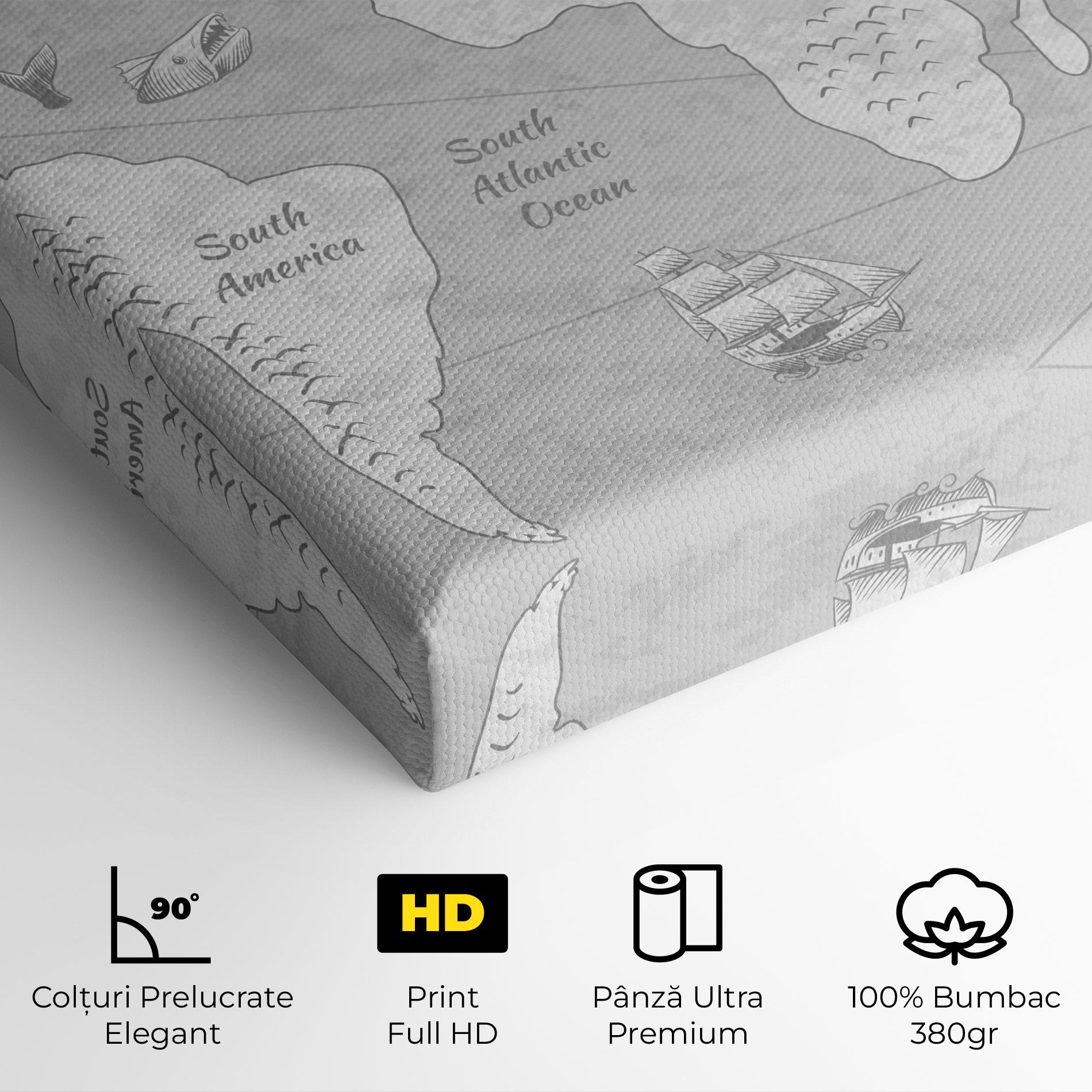 Tablou Canvas Grey Old Map mockup 4