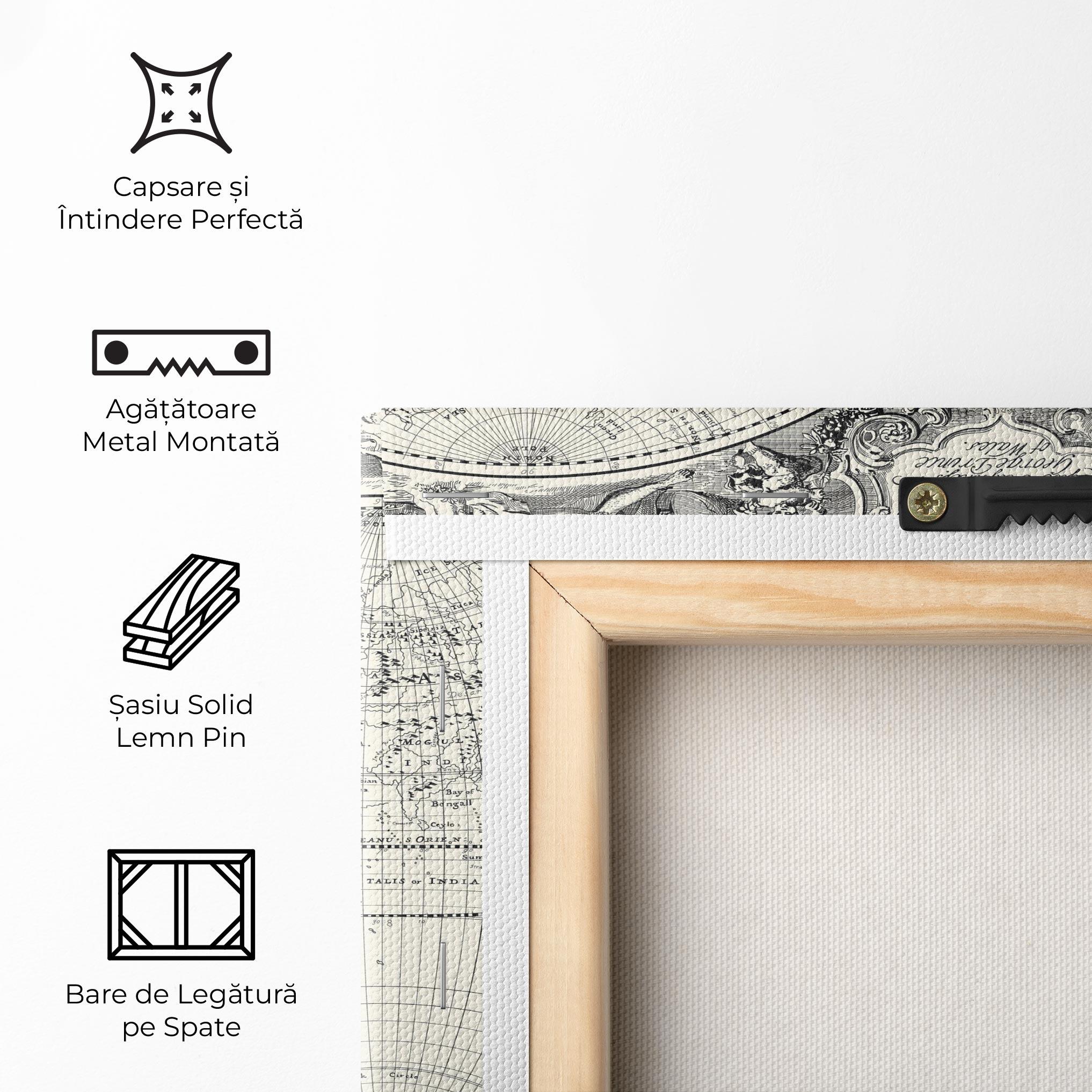 Tablou Canvas Black White Map mockup 5