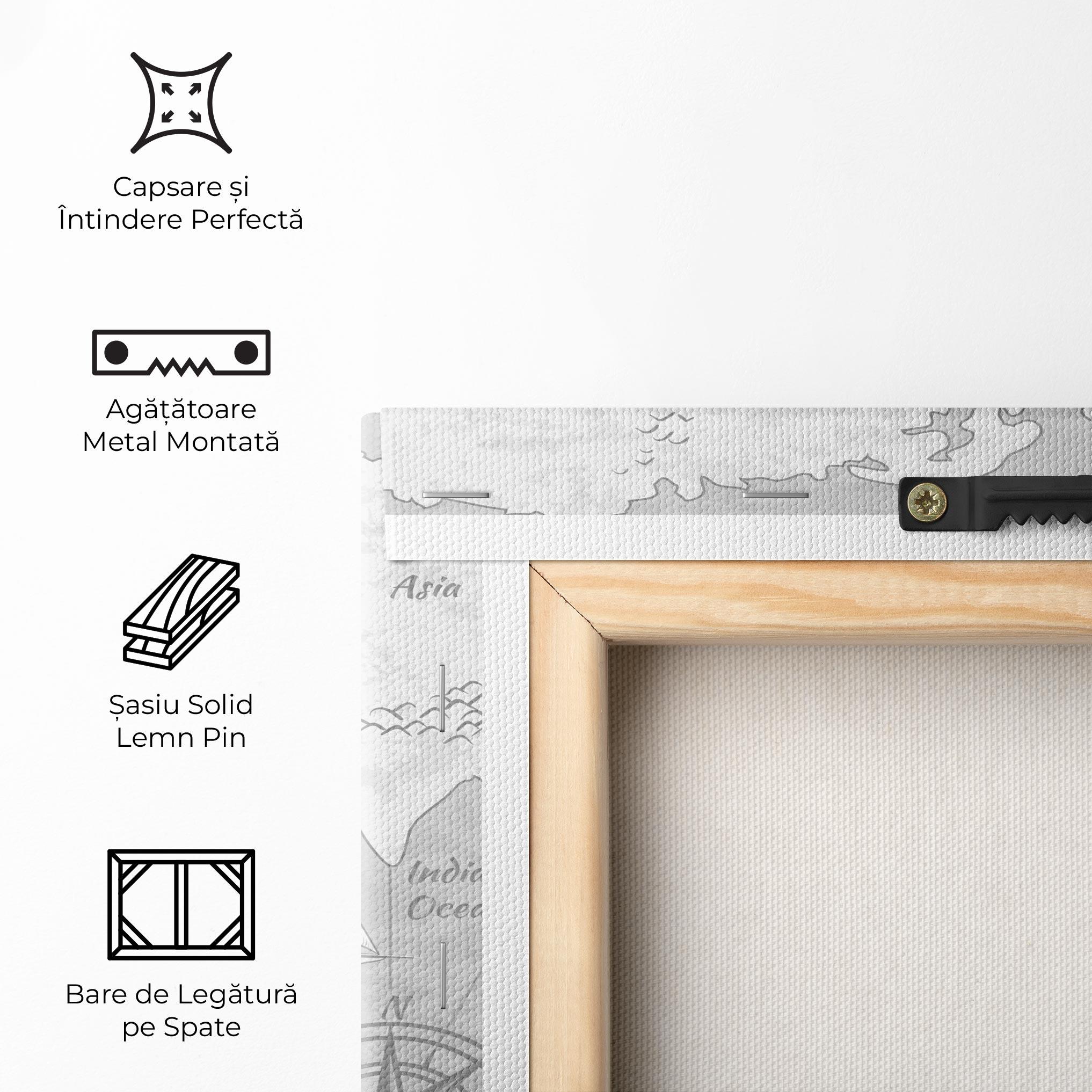 Tablou Canvas Grey Old Map mockup 5