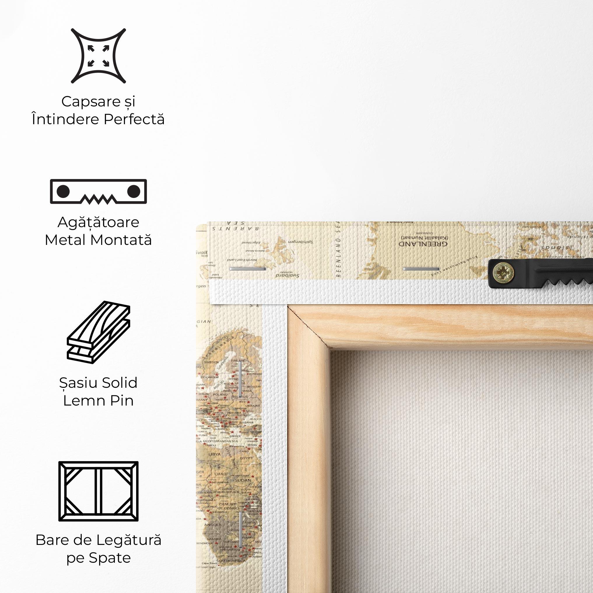 Tablou Canvas Old Canada Map mockup 5