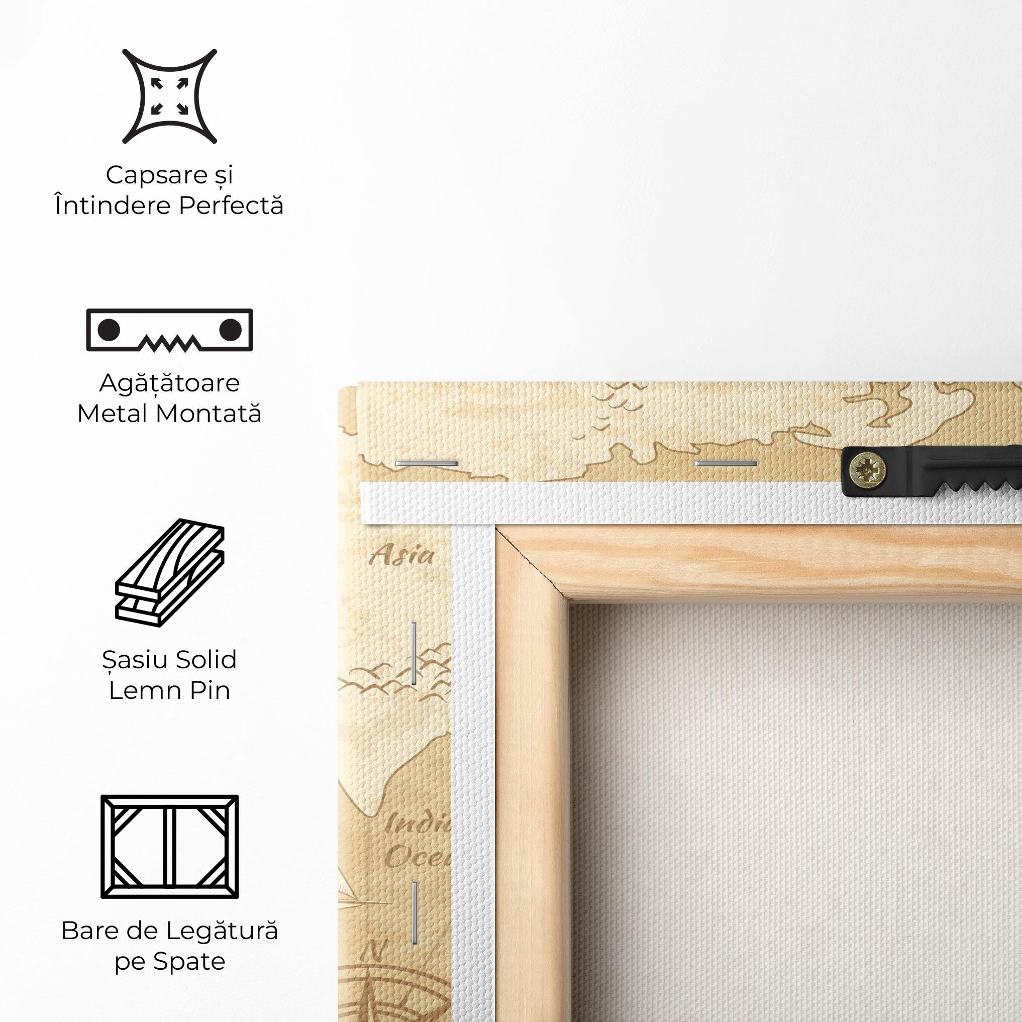 Tablou Canvas Old Continents Map mockup 5