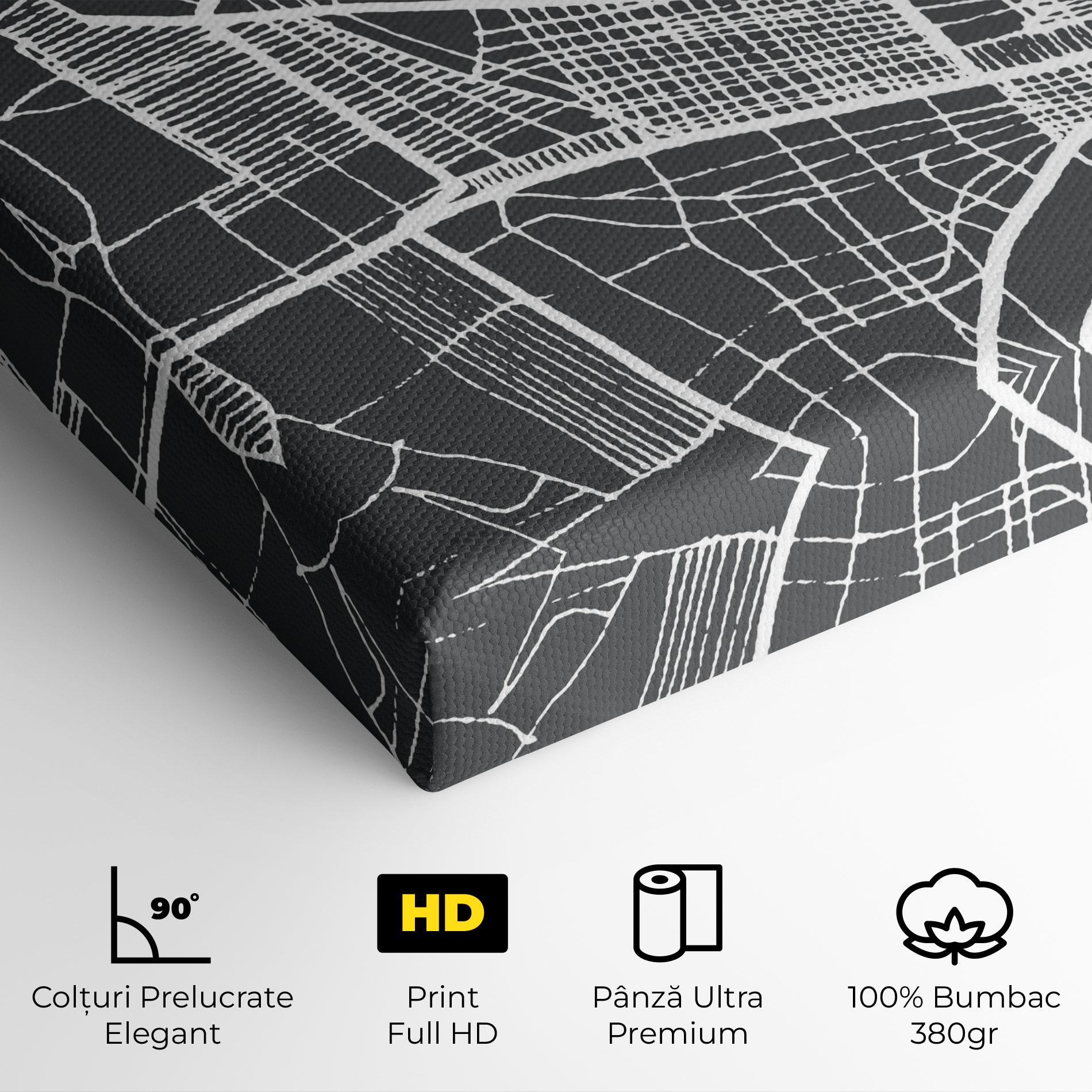 Tablou Canvas Bangui Map mockup 4