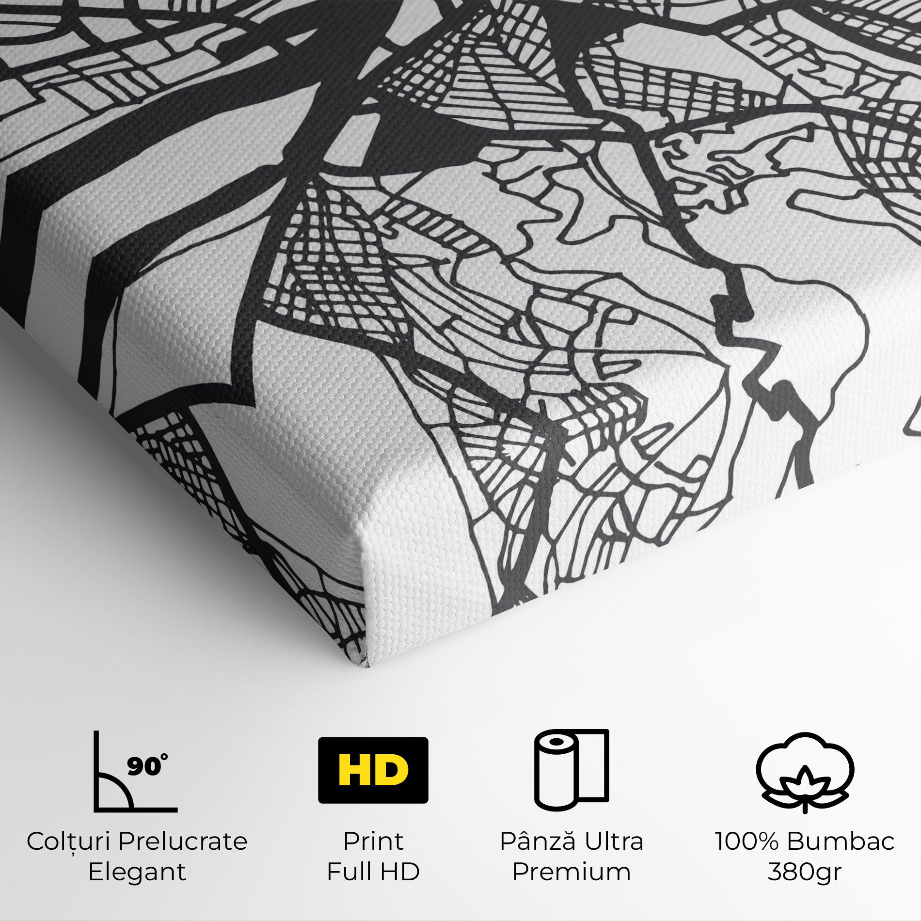 Belgrade Map mockup 4