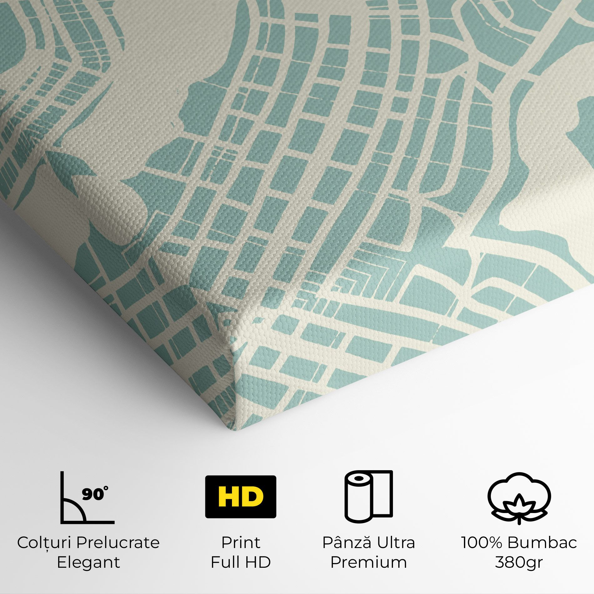 Brasilia Map mockup 4