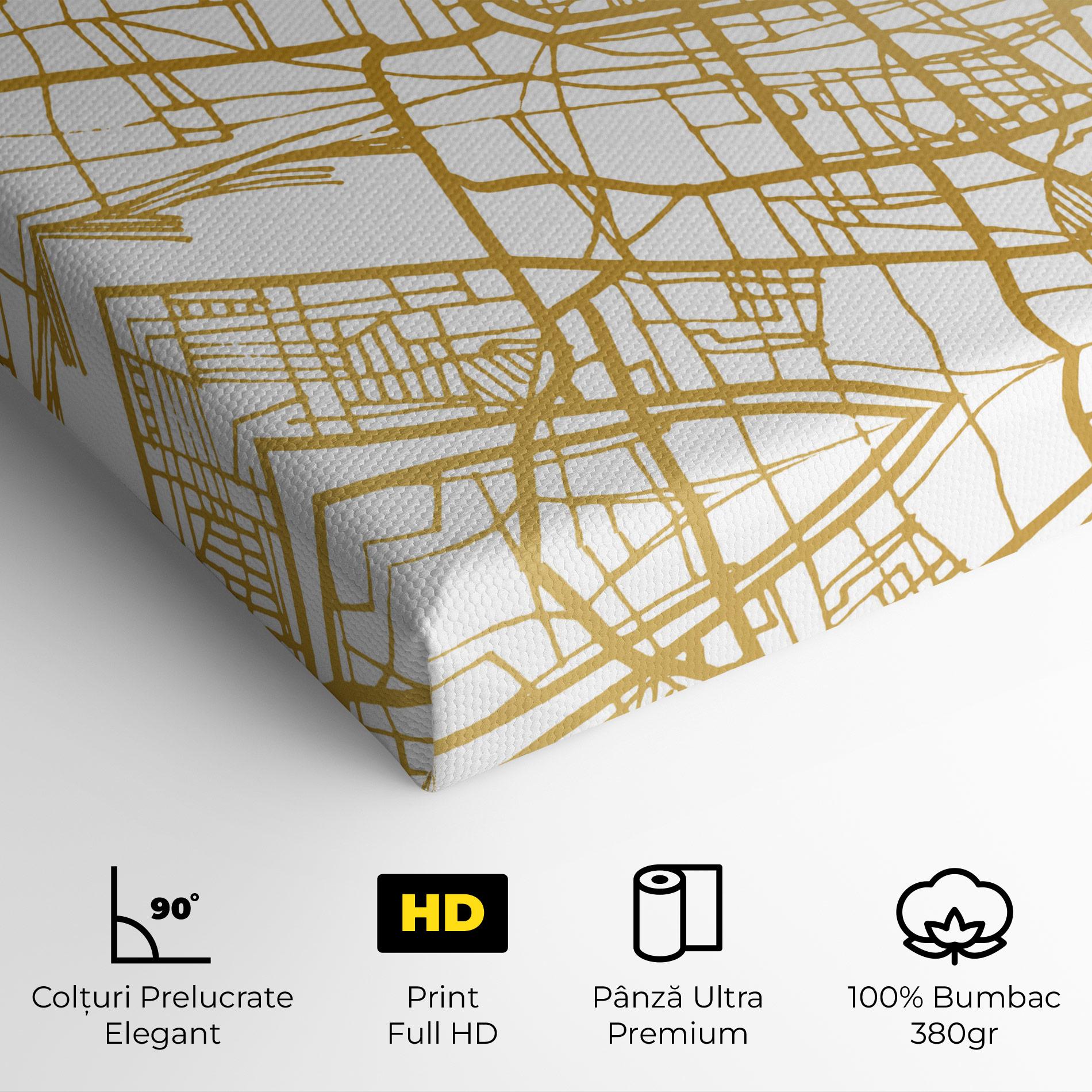Tablou Canvas Brescia Gold Map mockup 4