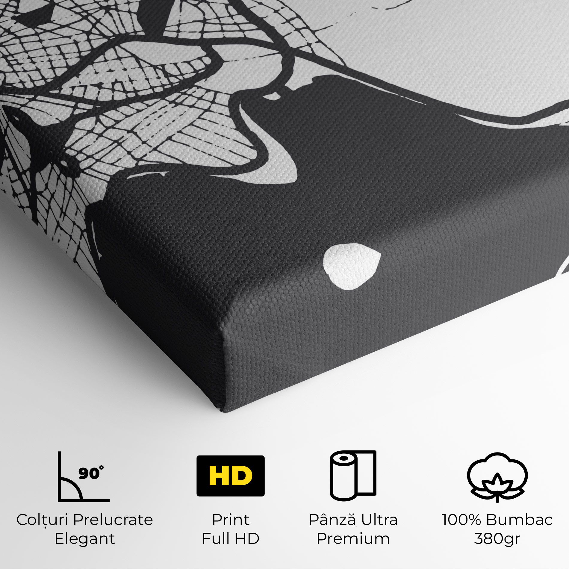 Chalcis Map mockup 4