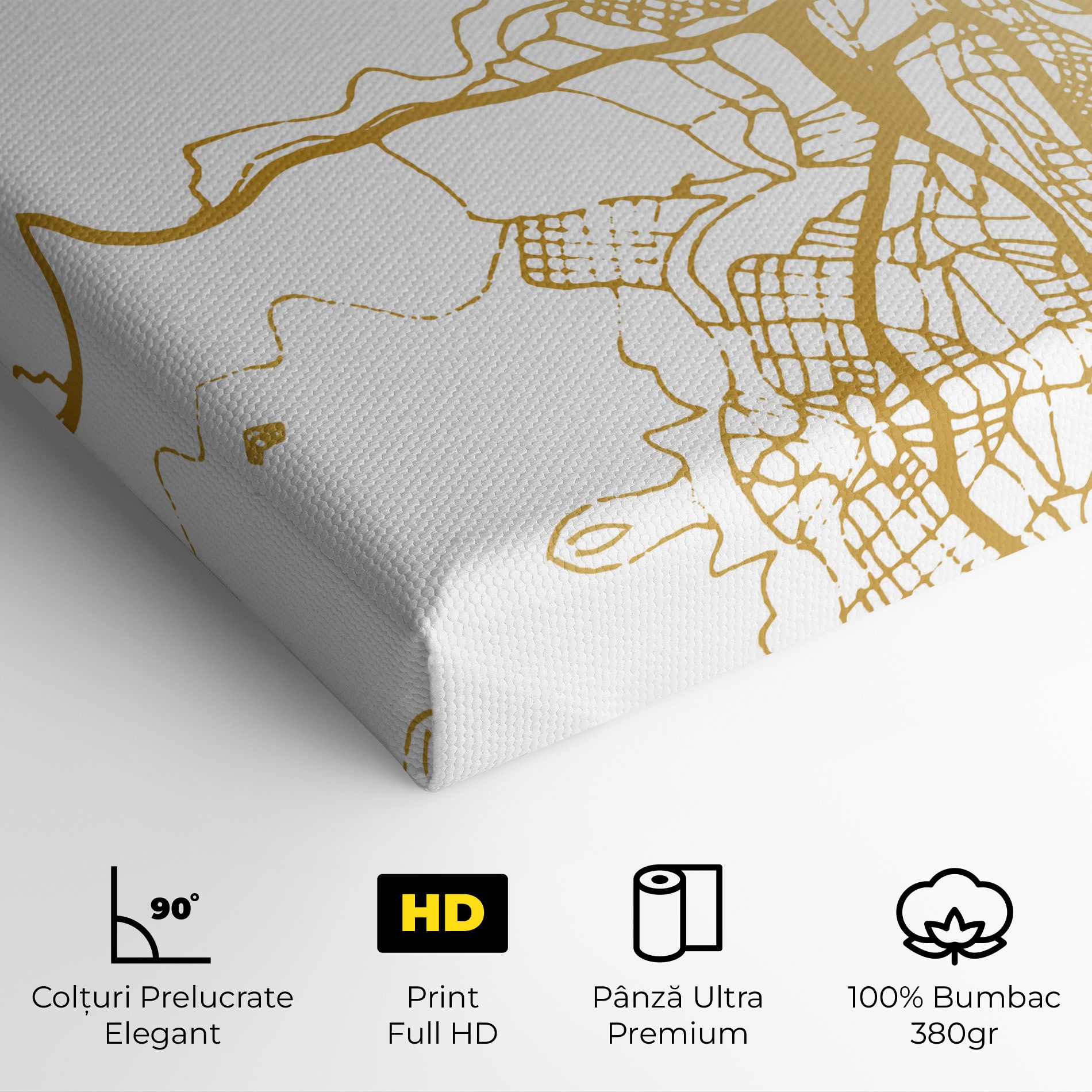 Las Palmas Gold Map mockup 4