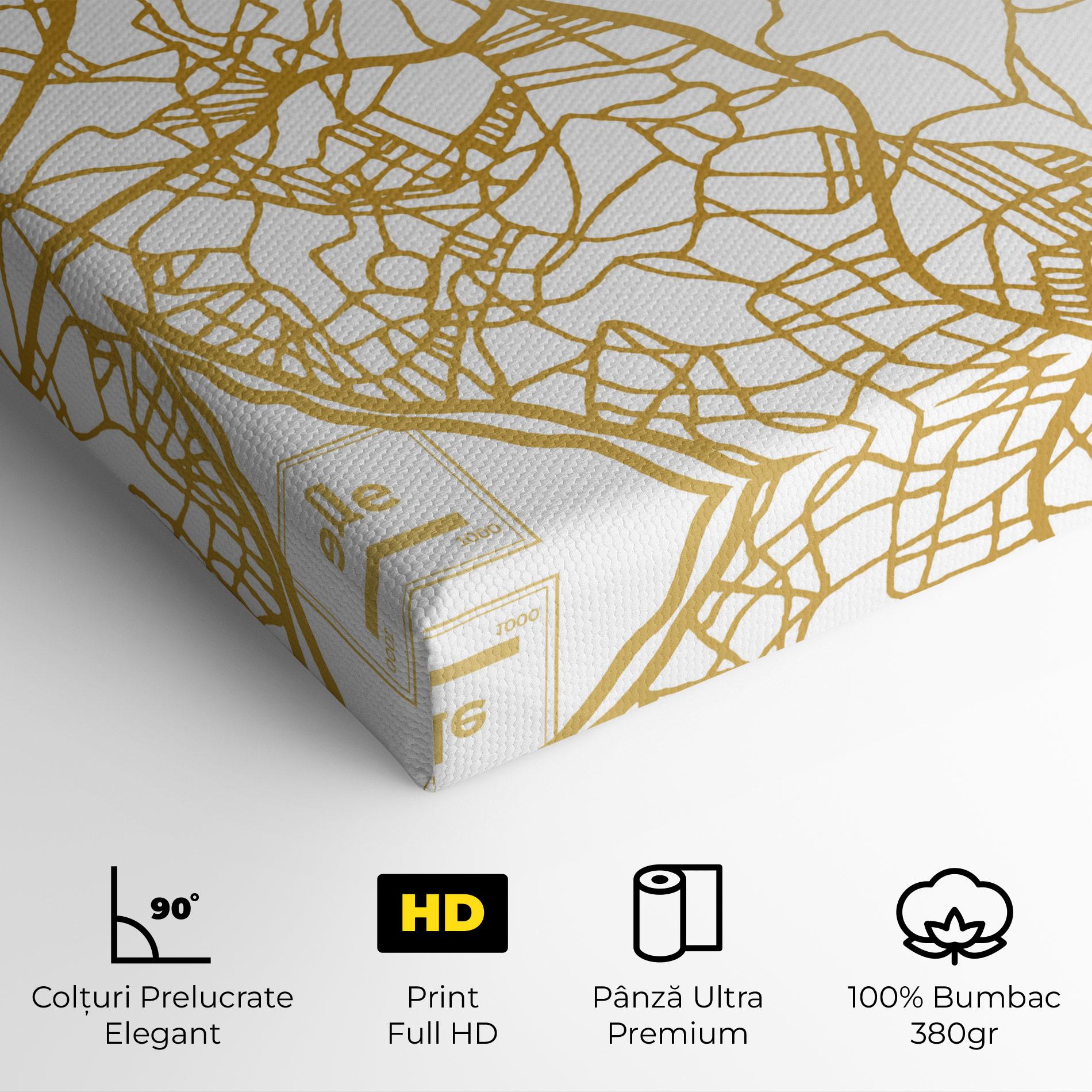 Tablou Canvas Libreville Gold Map mockup 4