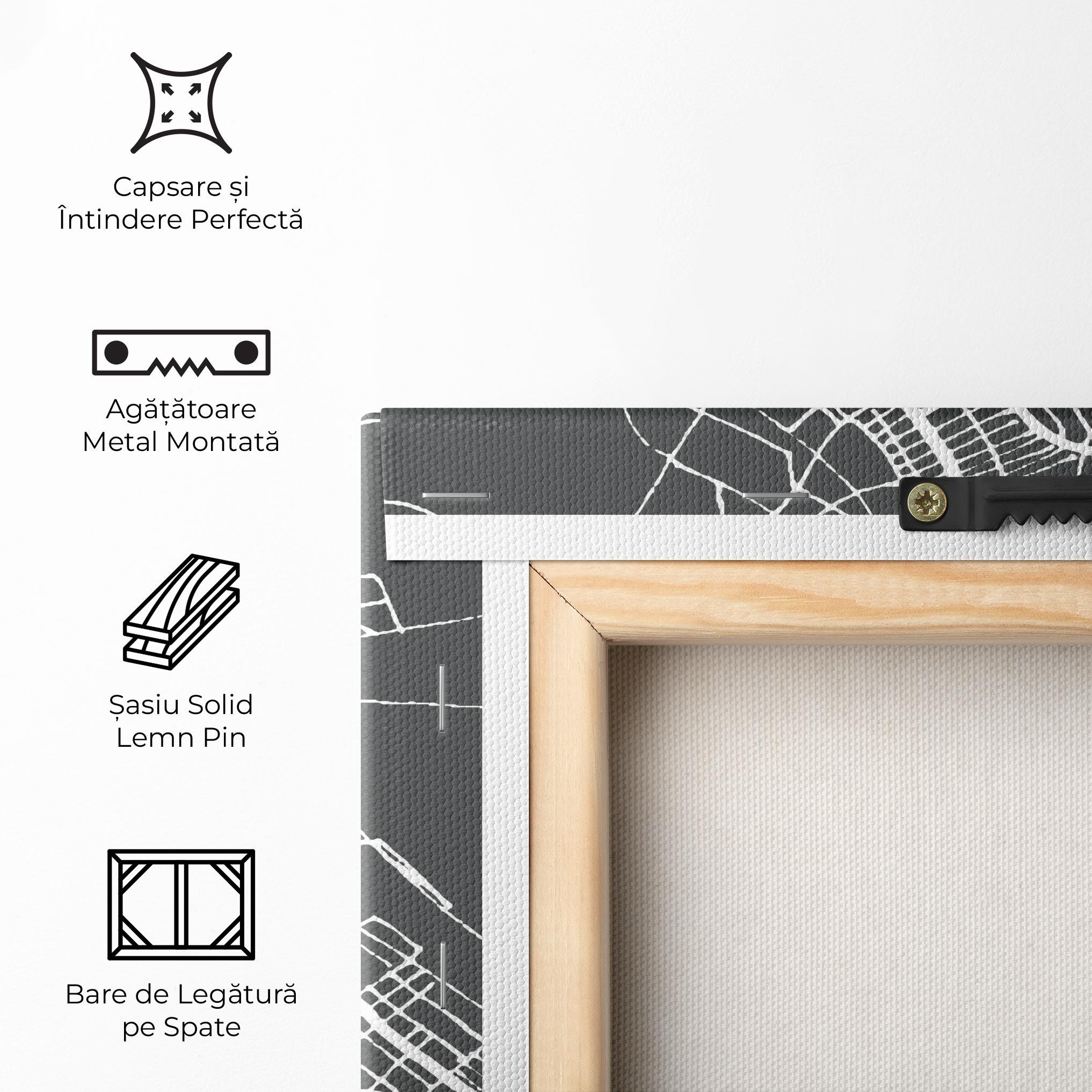 Tablou Canvas Bangui Map mockup 5