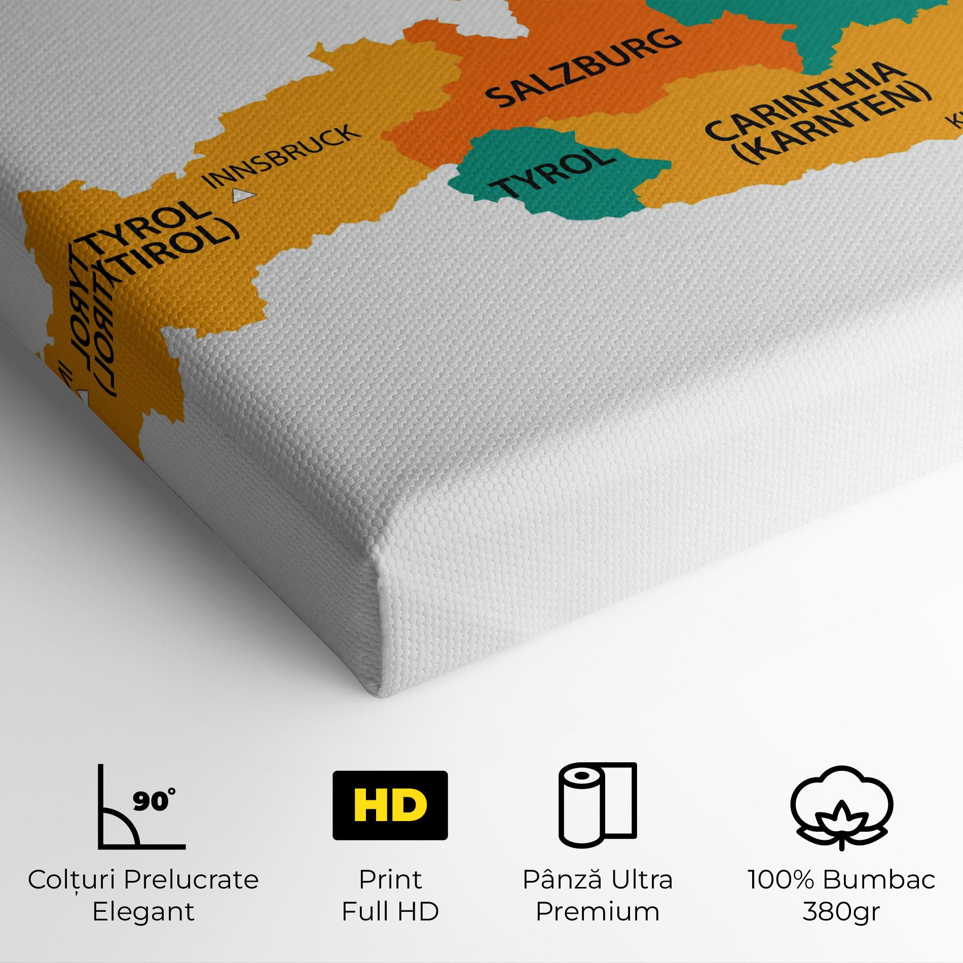 Tablou Canvas Austria Color Map mockup 4