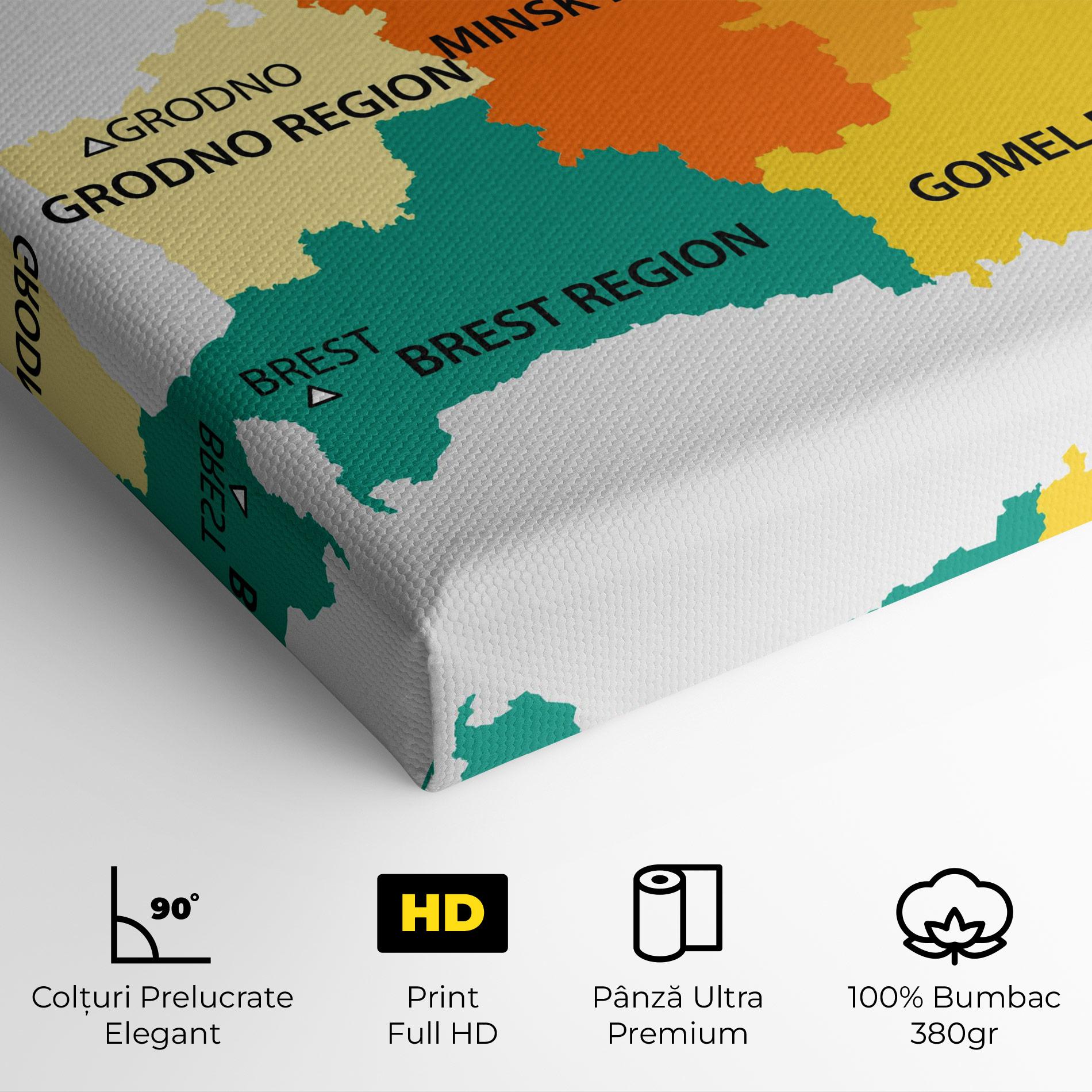 Tablou Canvas Belarus Color Map mockup 4