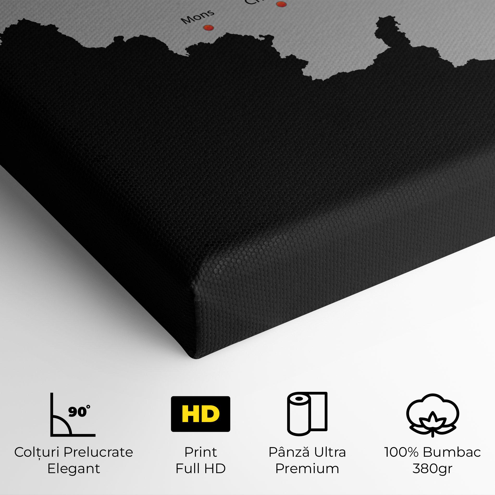 Tablou Canvas Belgium Map mockup 4