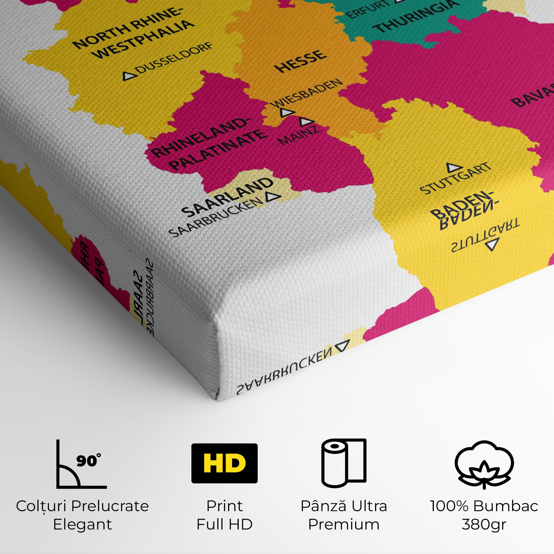 Tablou Canvas Germany Color Map mockup 4