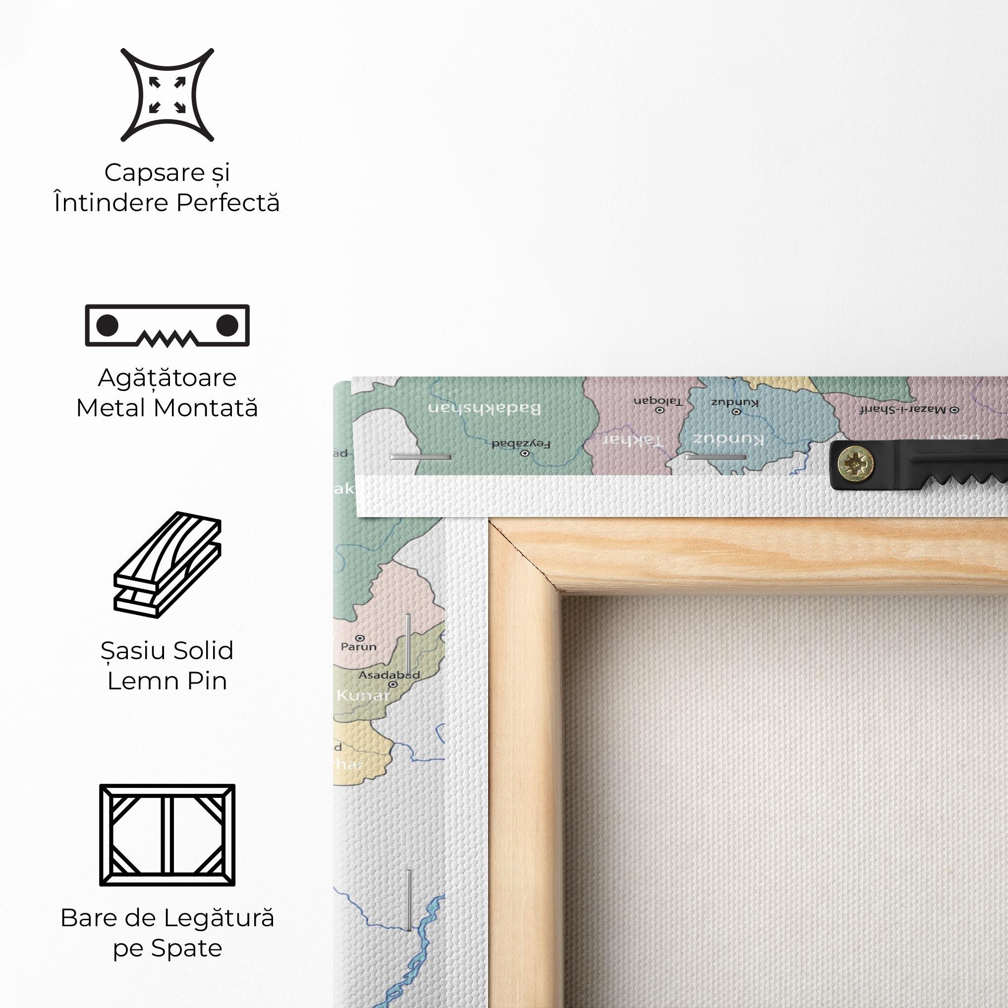 Tablou Canvas Afghanistan Map mockup 5