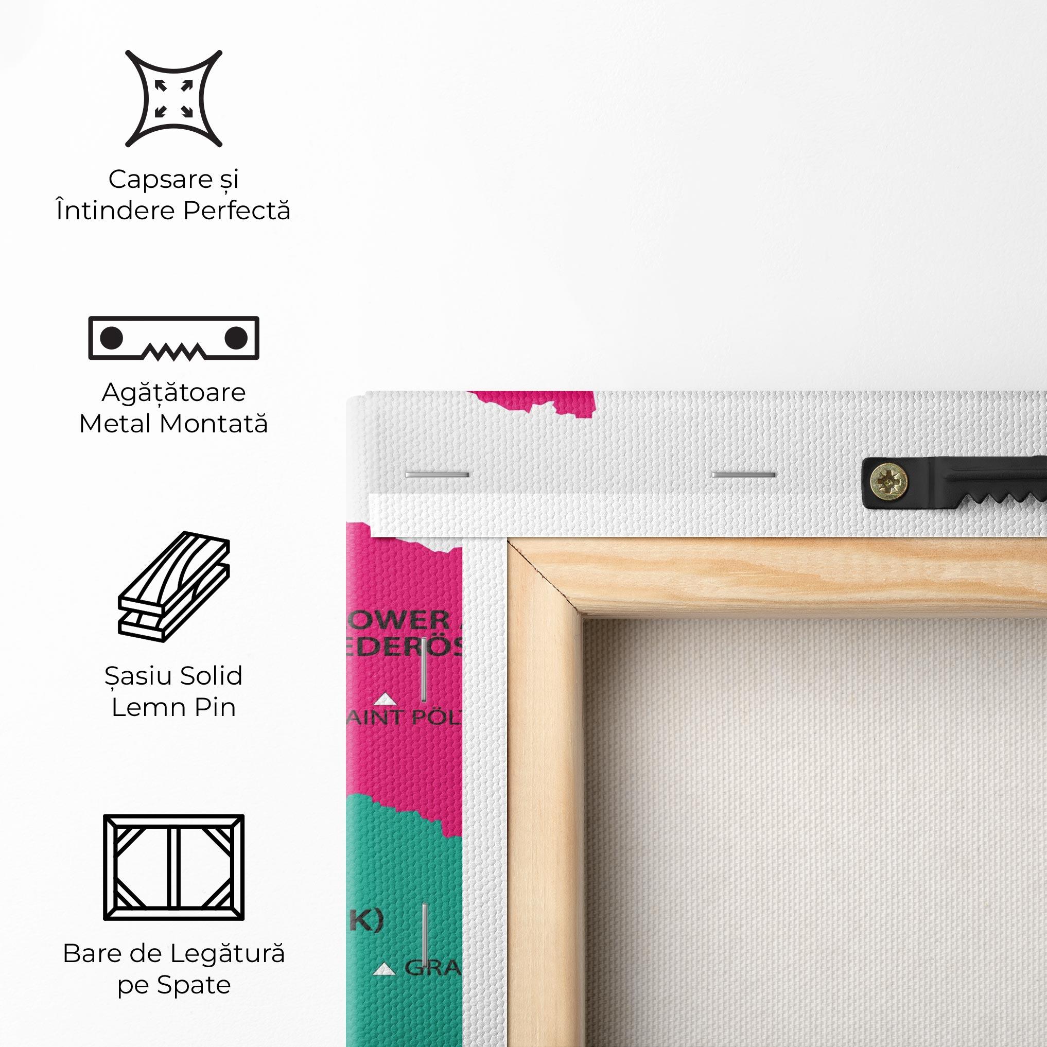 Tablou Canvas Austria Color Map mockup 5