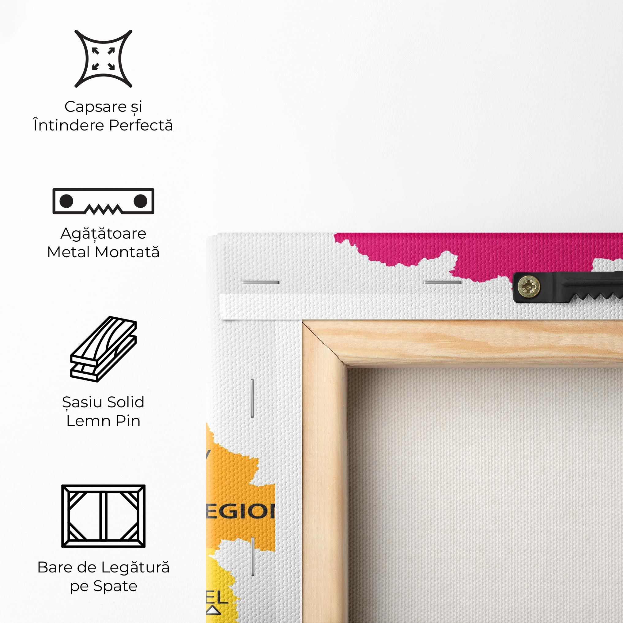 Belarus Color Map mockup 5