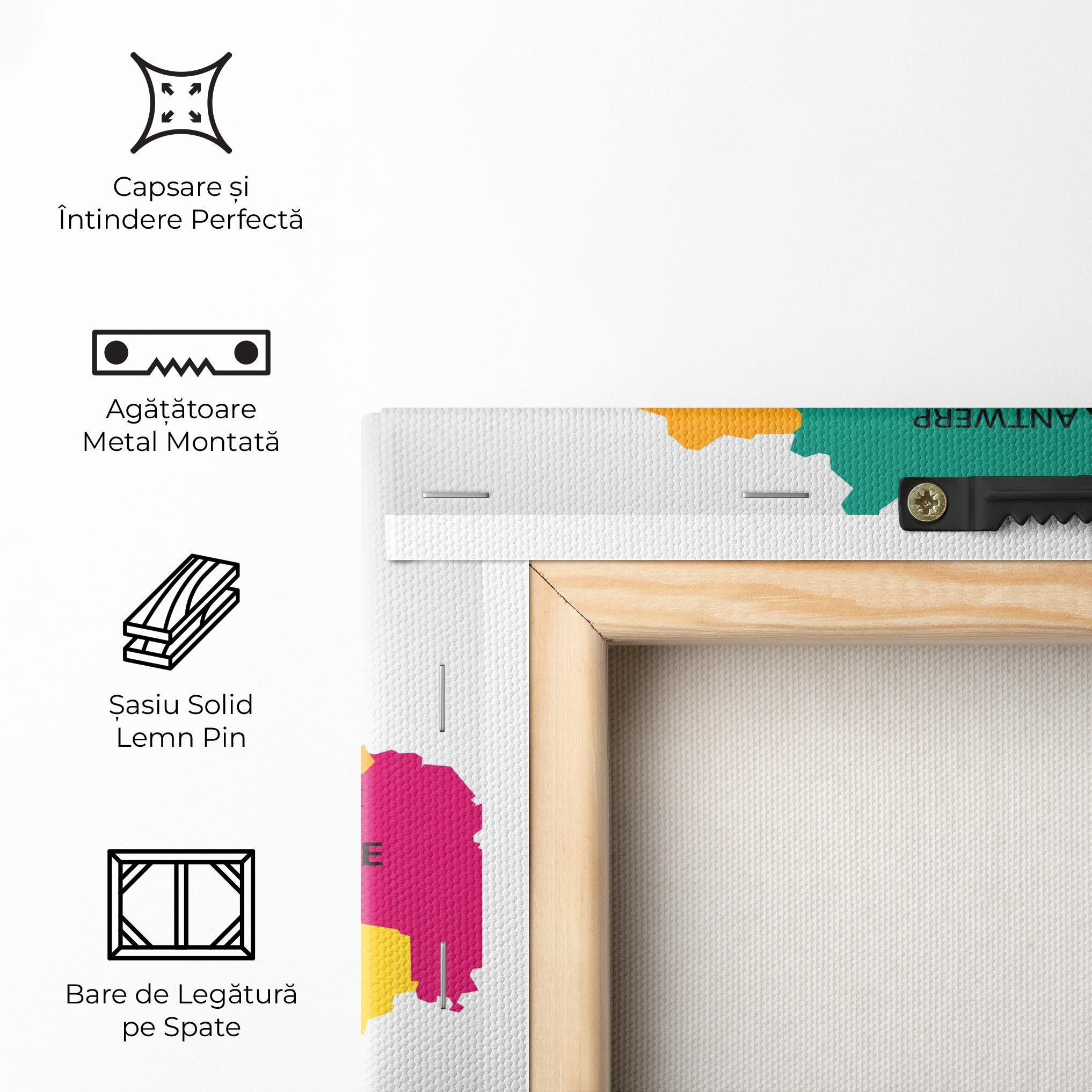 Tablou Canvas Belgium Color Map mockup 5