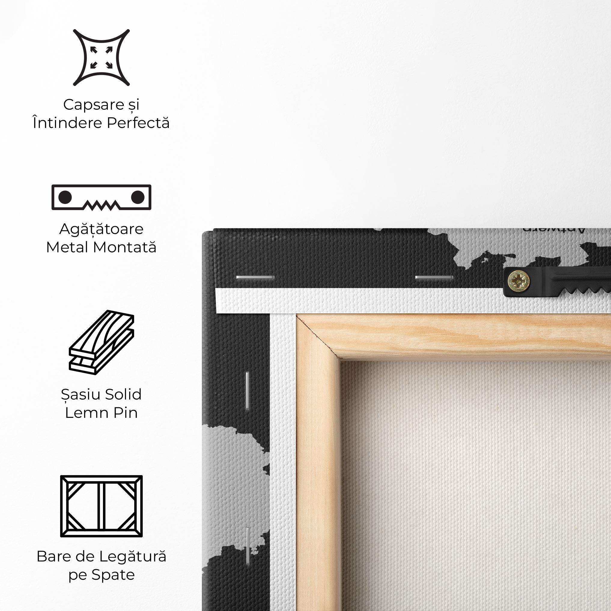 Tablou Canvas Belgium Map mockup 5