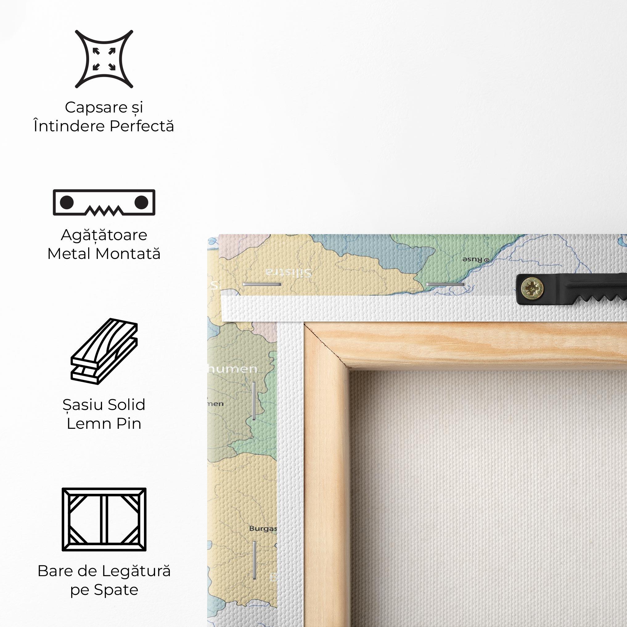 Tablou Canvas Bulgaria Map mockup 5