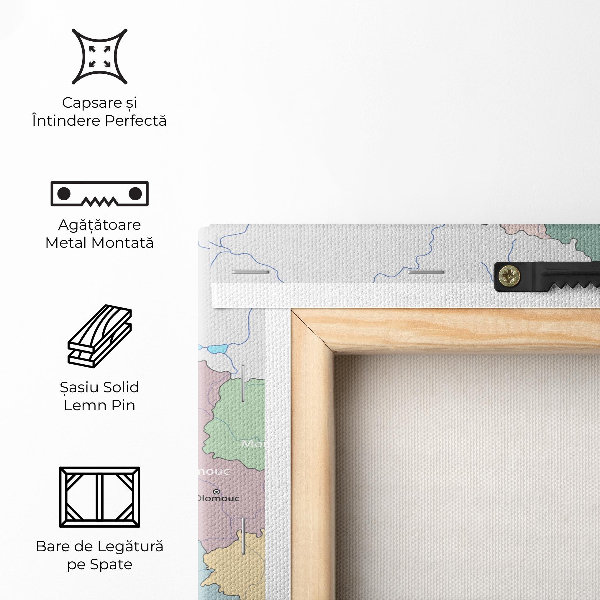 Tablou Canvas Czech Republic Map mockup 5