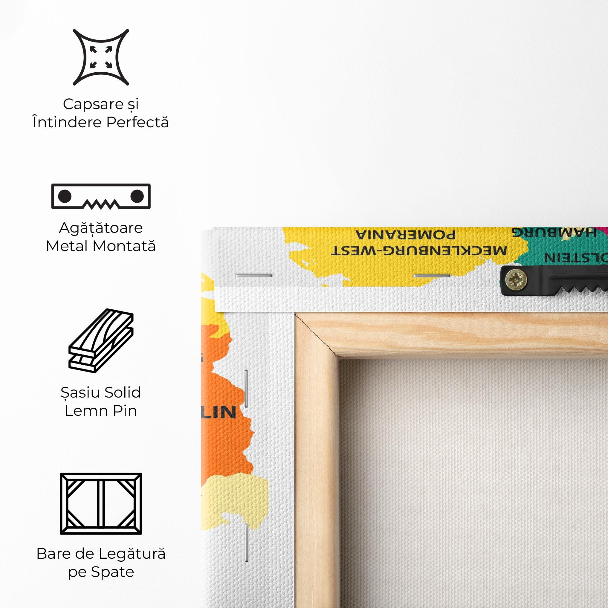 Tablou Canvas Germany Color Map mockup 5