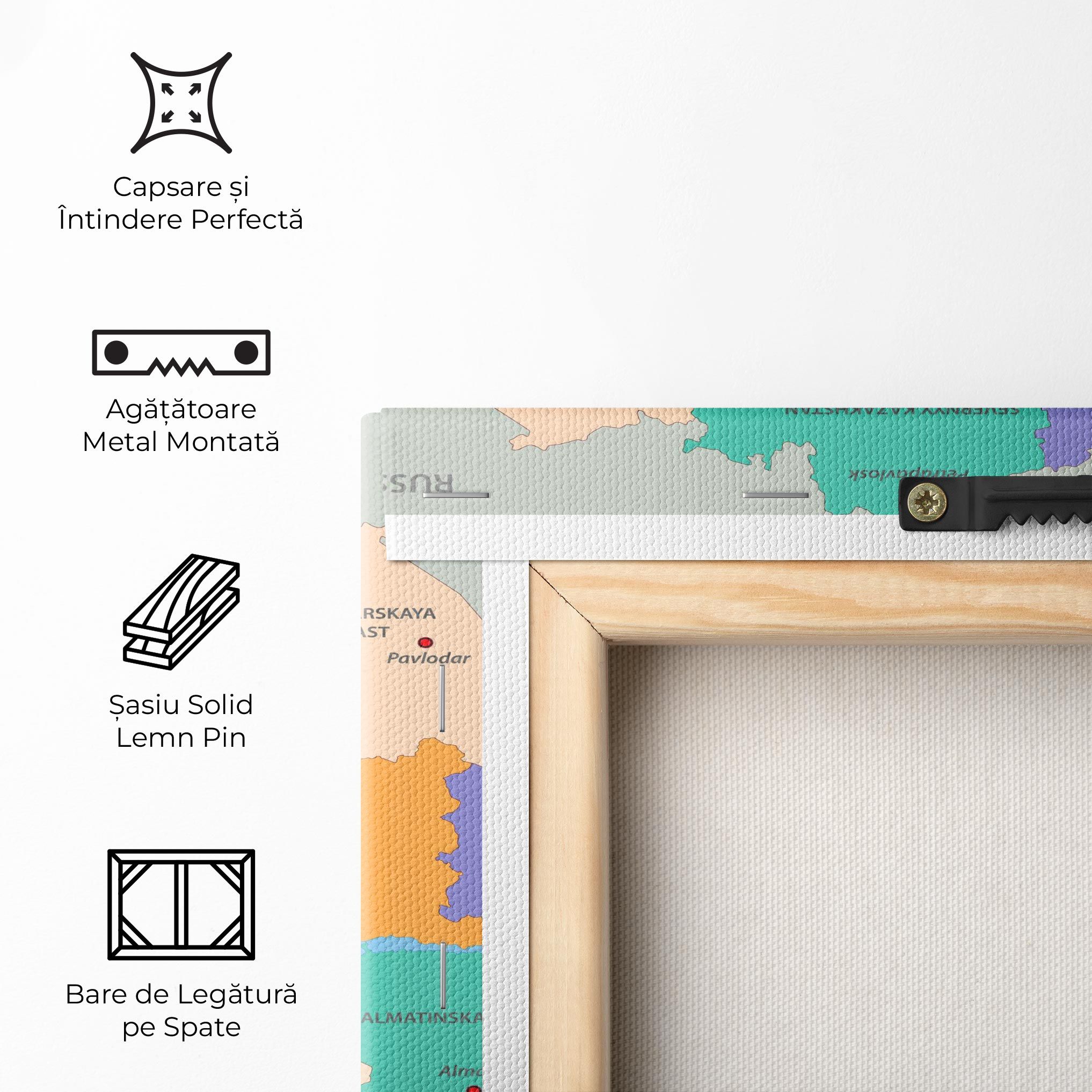 Kazakhstan Color Map mockup 5