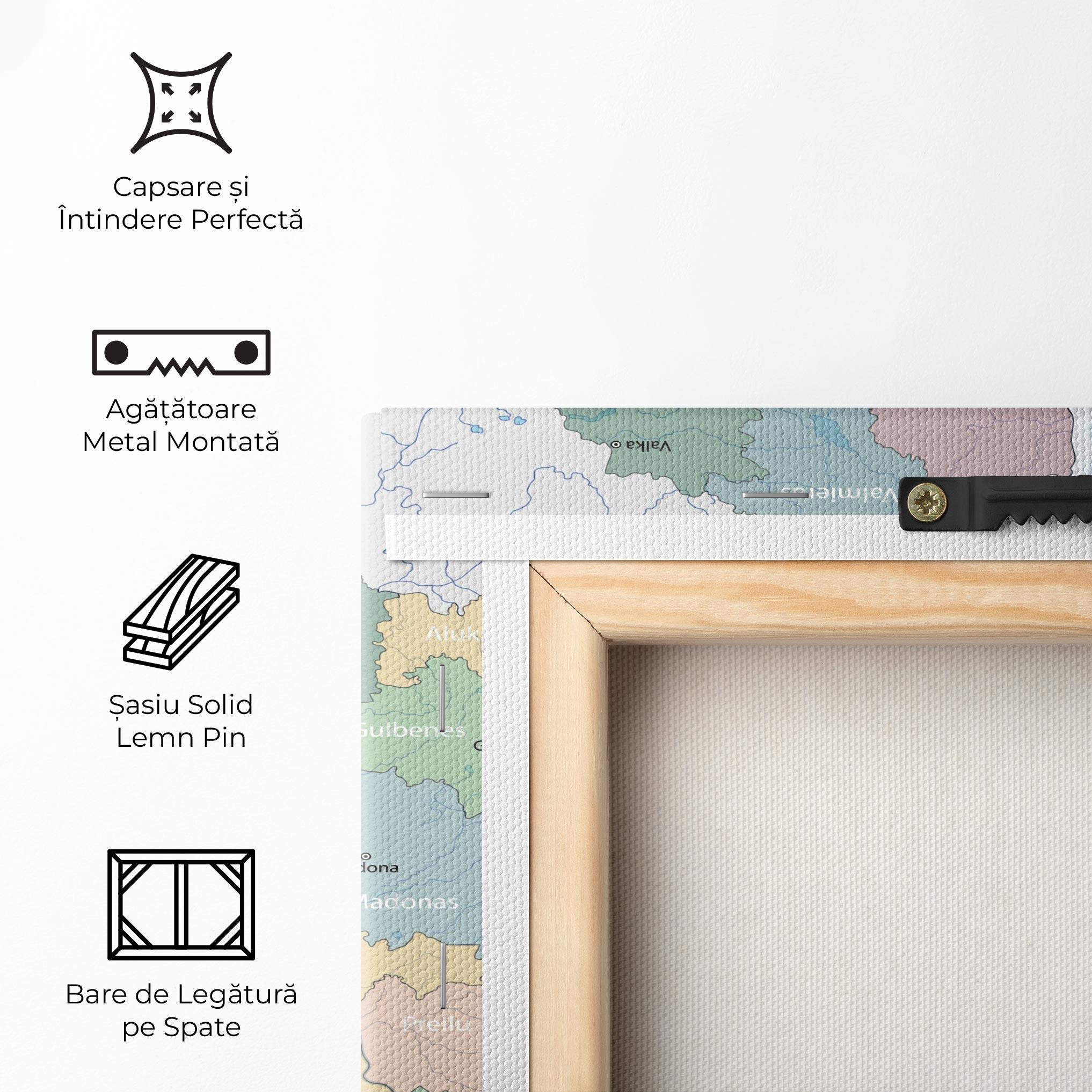 Tablou Canvas Latvia Color Map mockup 5