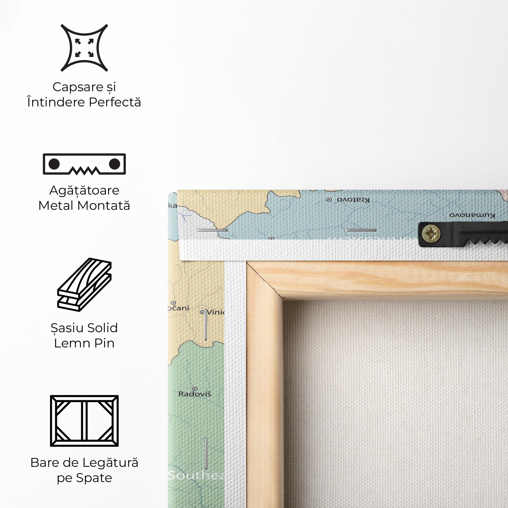 Tablou Canvas North Macedonia Map mockup 5