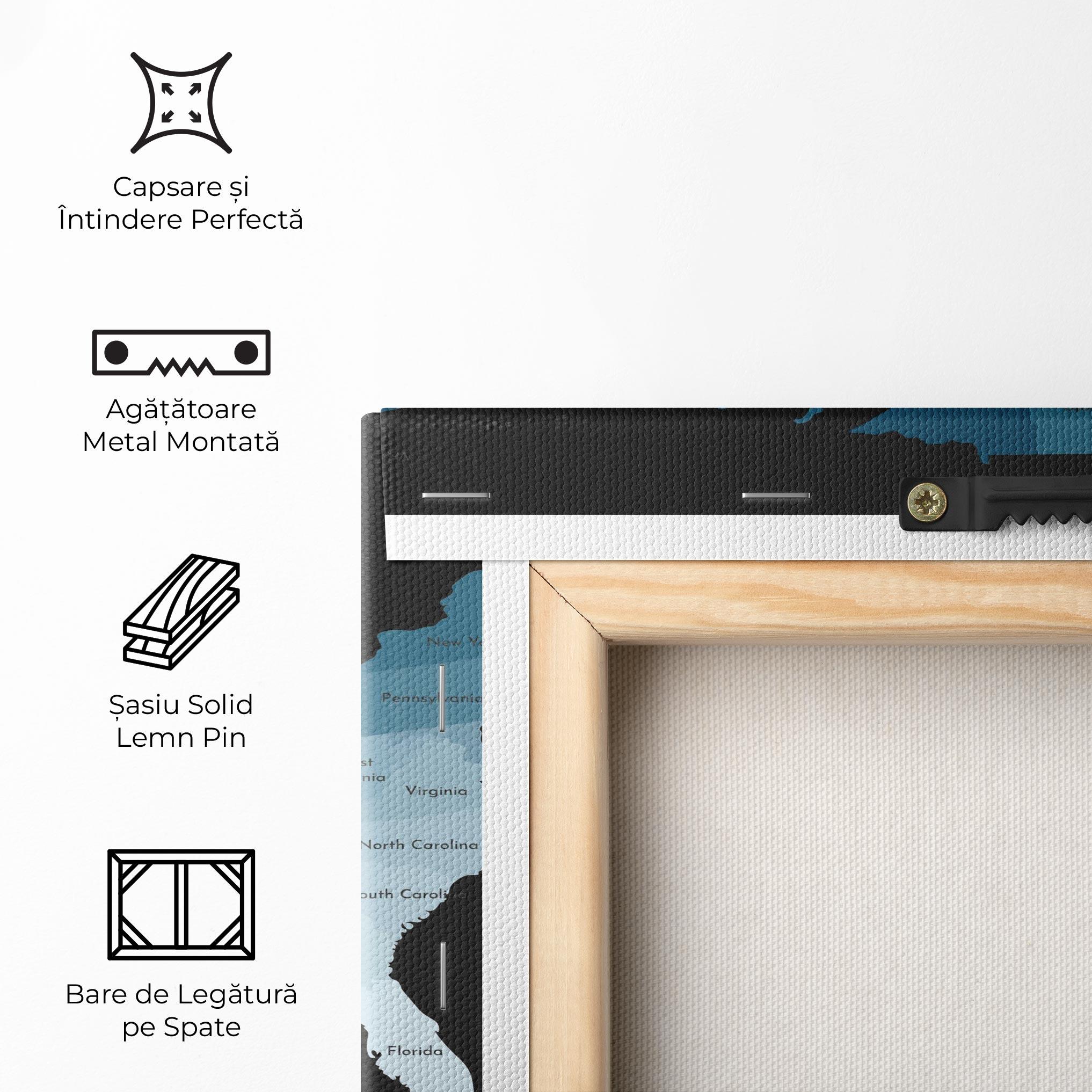 Tablou Canvas Sua Blue Map mockup 5