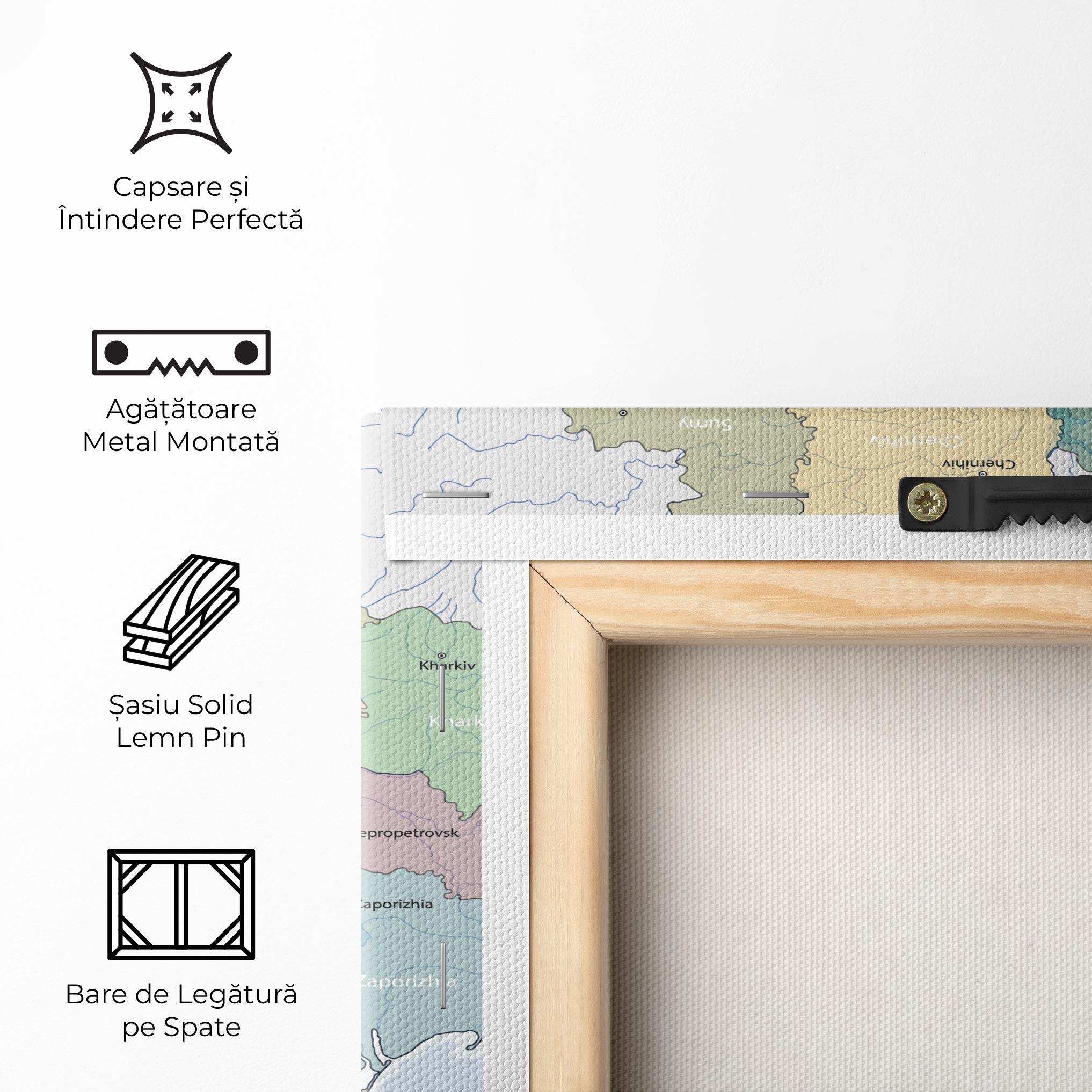 Tablou Canvas Ukraine Map mockup 5
