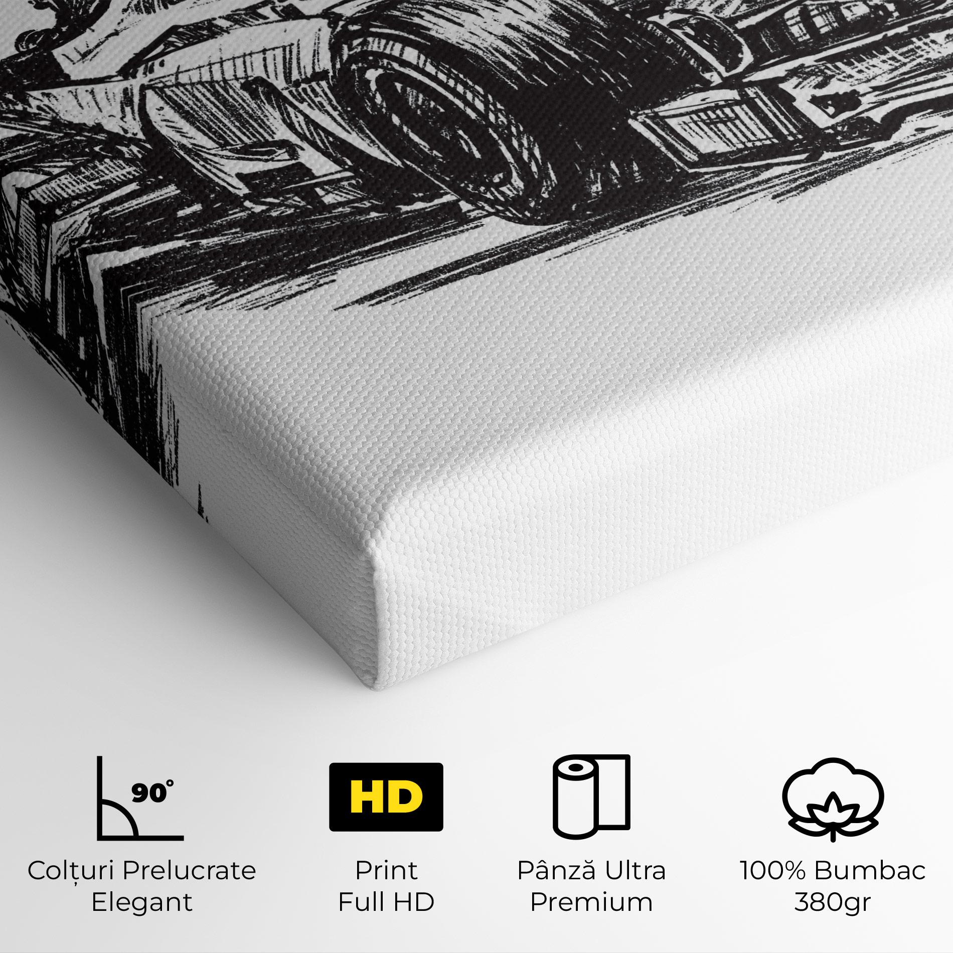 Tablou Canvas Black Line F1 mockup 4