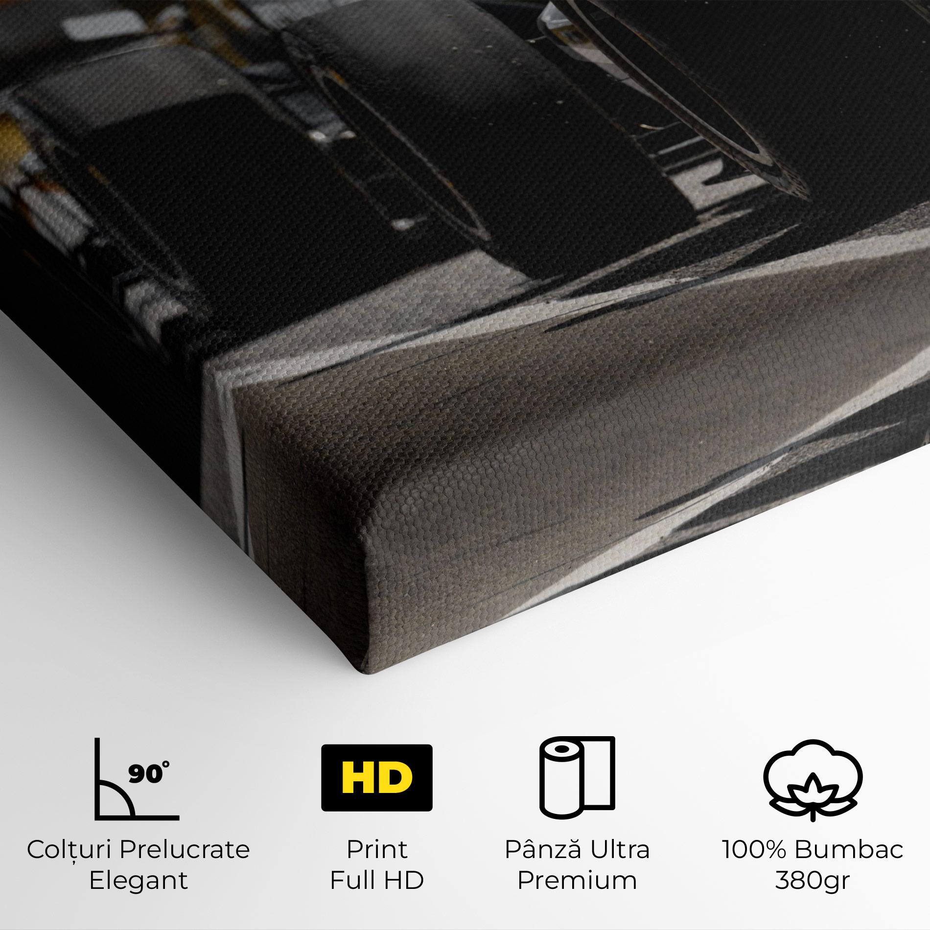 Tablou Canvas Grey F1 Cars mockup 4