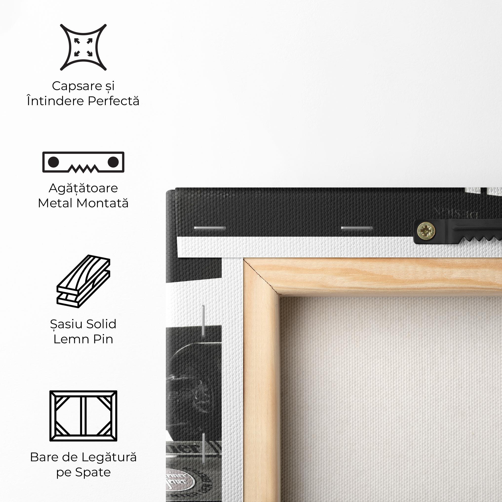 Tablou Canvas Formula 1 Car Grey mockup 5