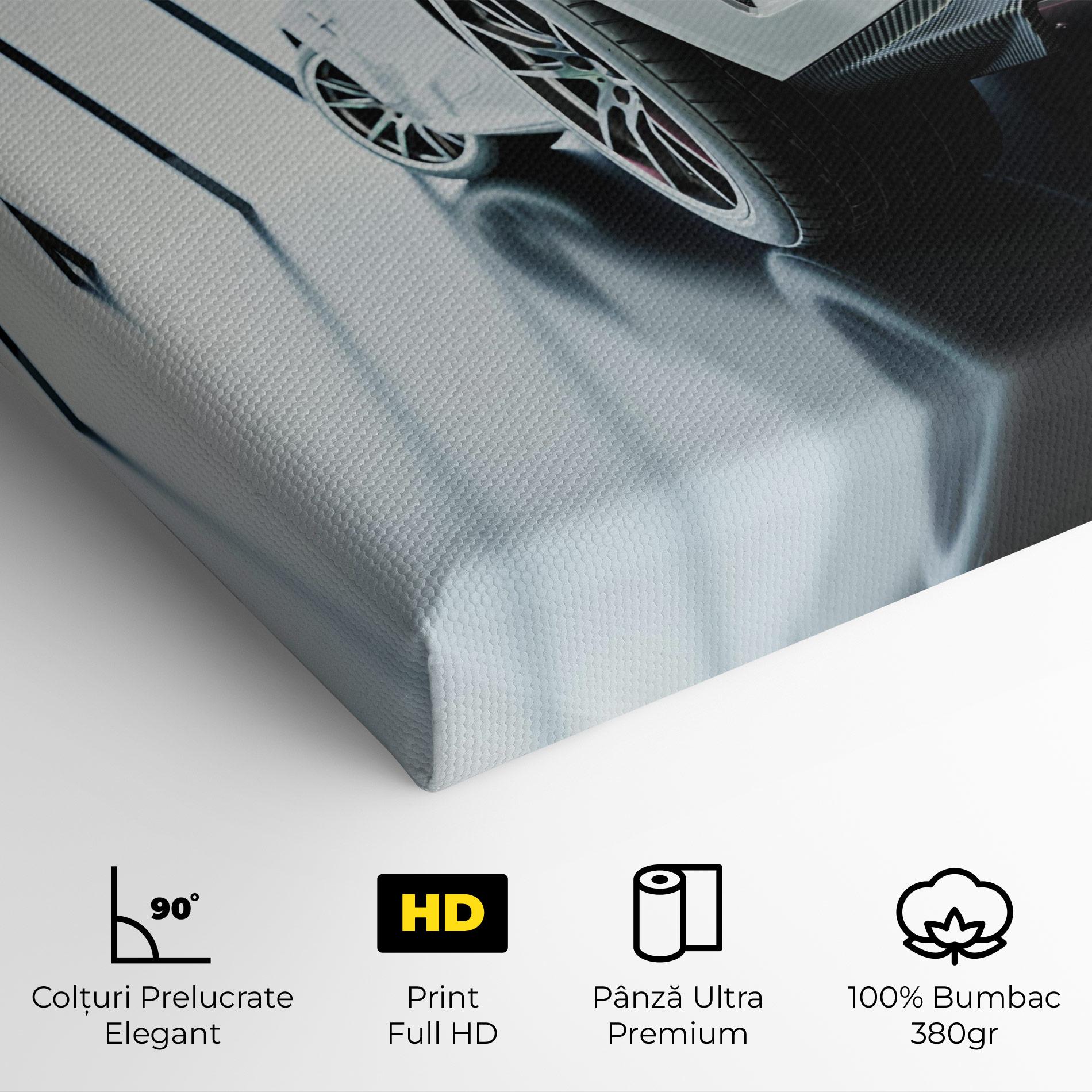 Tablou Canvas White Mercedes Amg mockup 4
