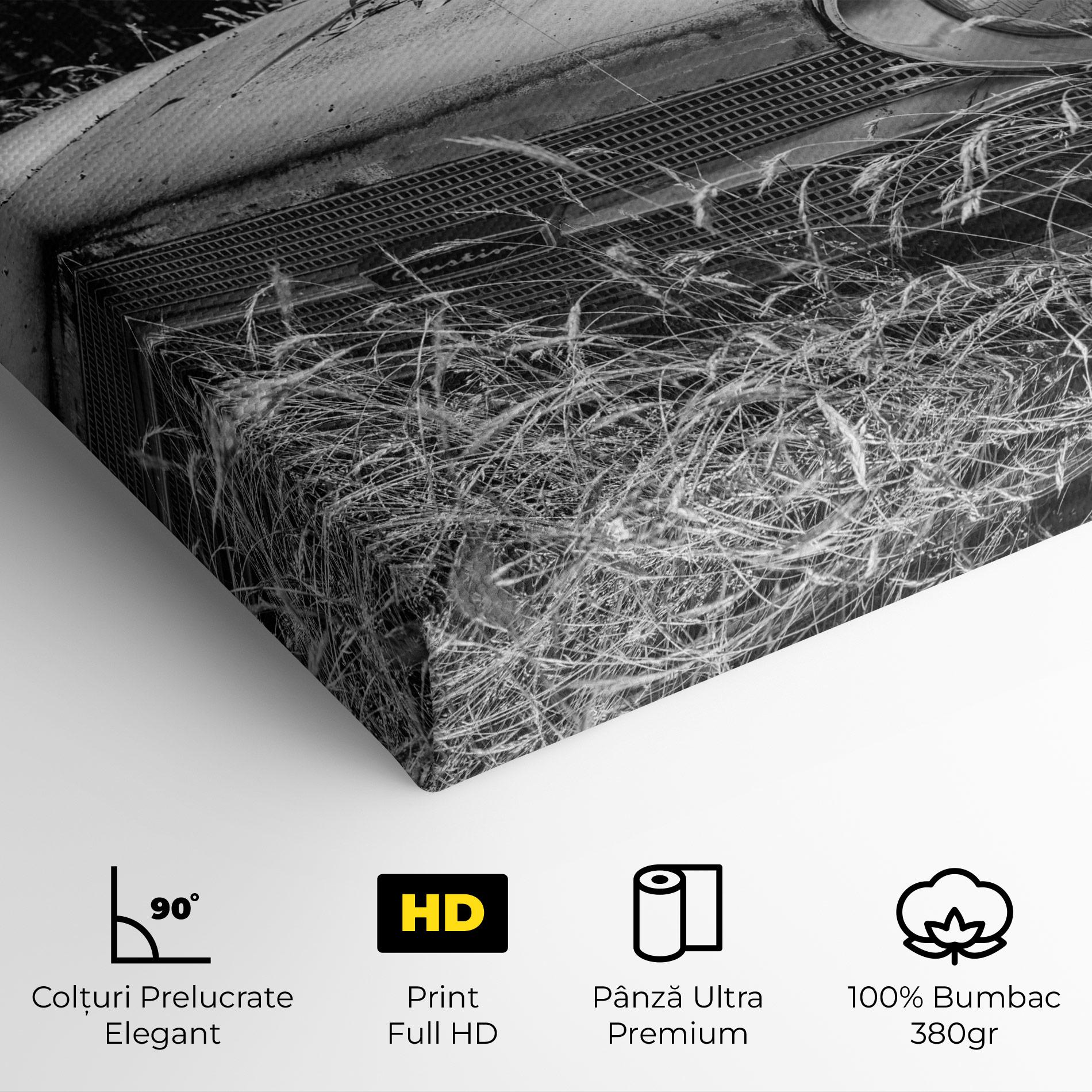 Tablou Canvas Old Field Car mockup 4