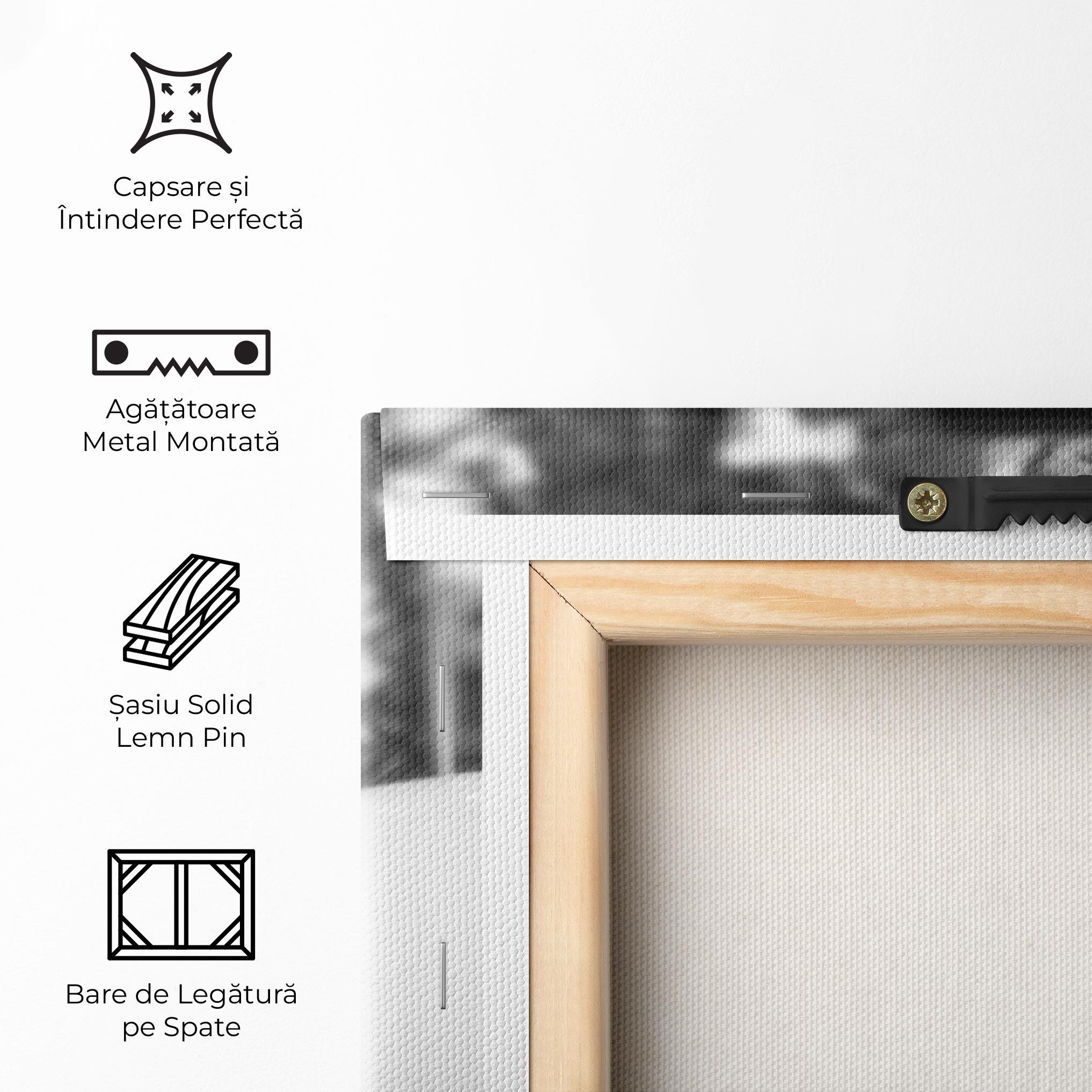 Tablou Canvas Closeup Grey Car mockup 5