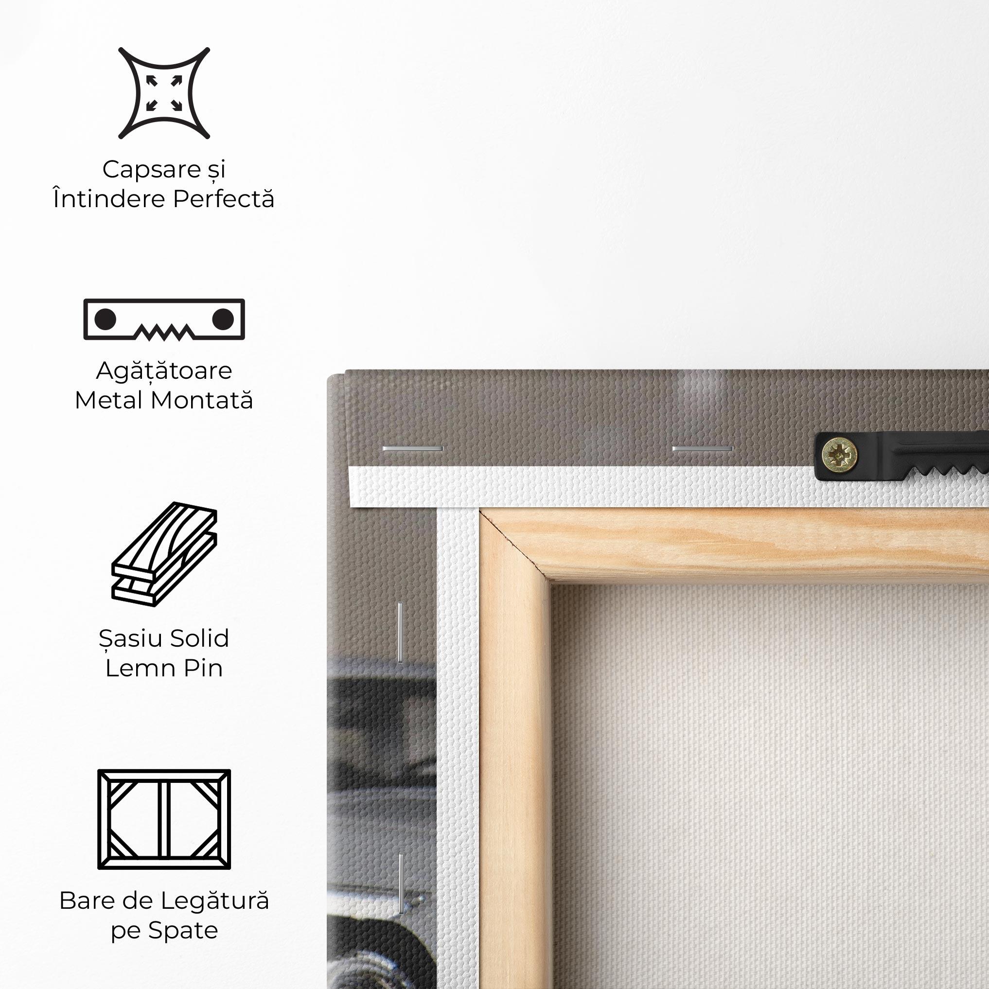 Tablou Canvas Cream Grey Car mockup 5