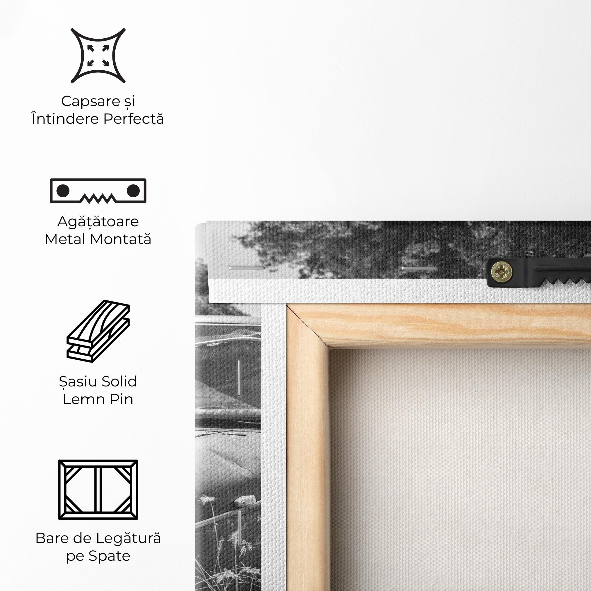 Tablou Canvas Old Field Car mockup 5