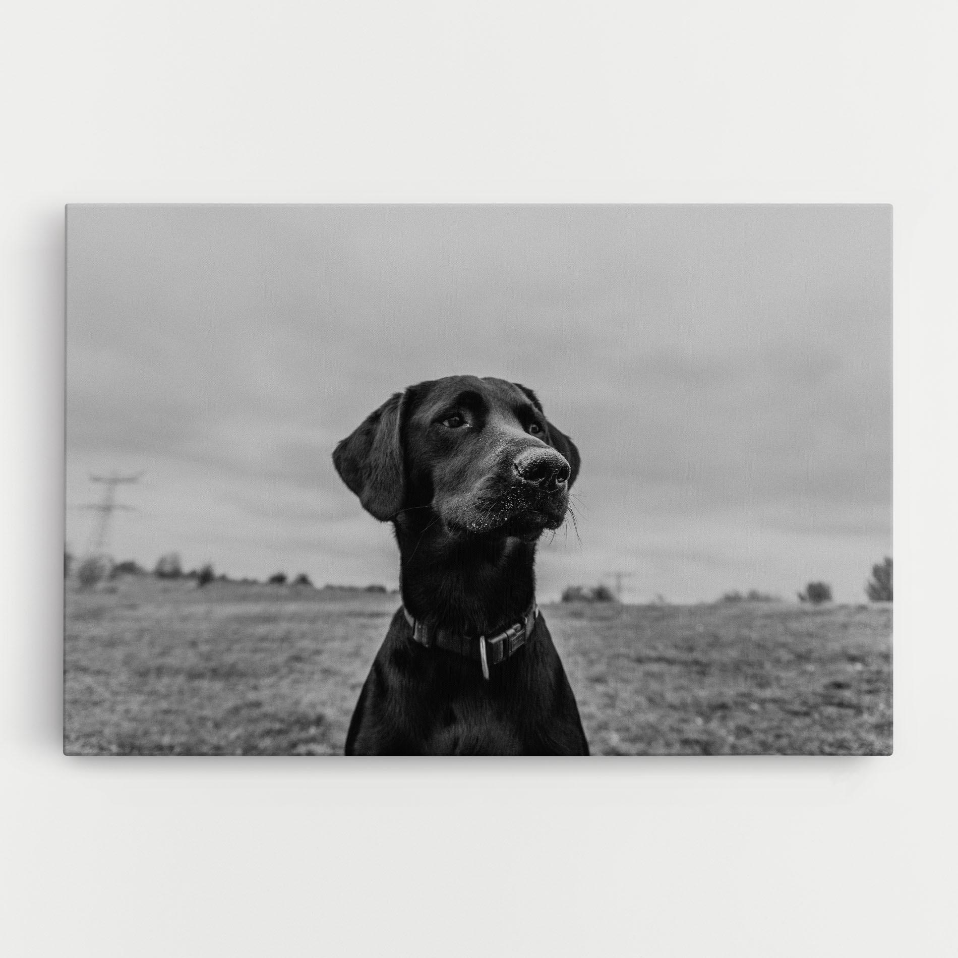 Tablou Canvas Black Dog mockup 0