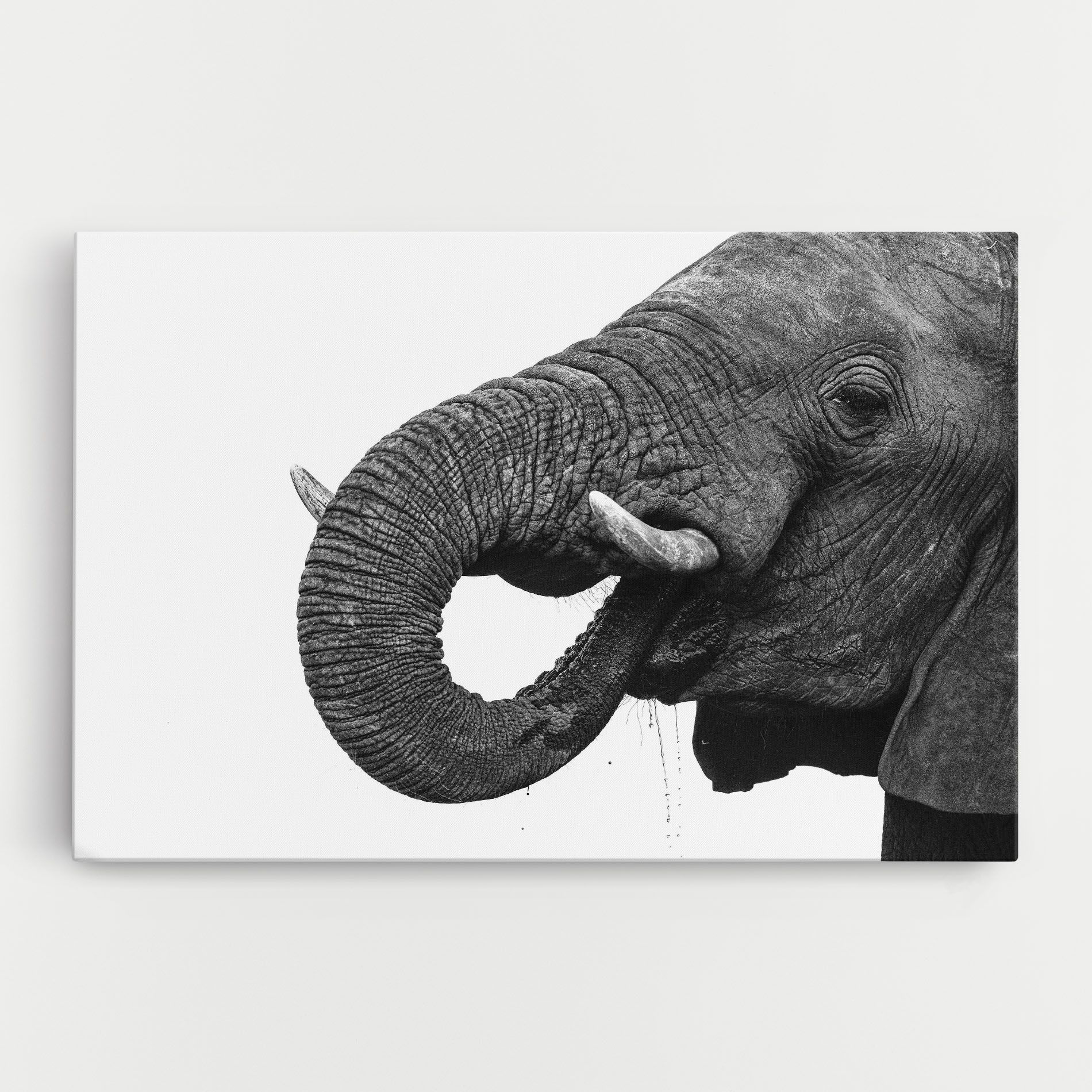 Elephant Drinking mockup 0