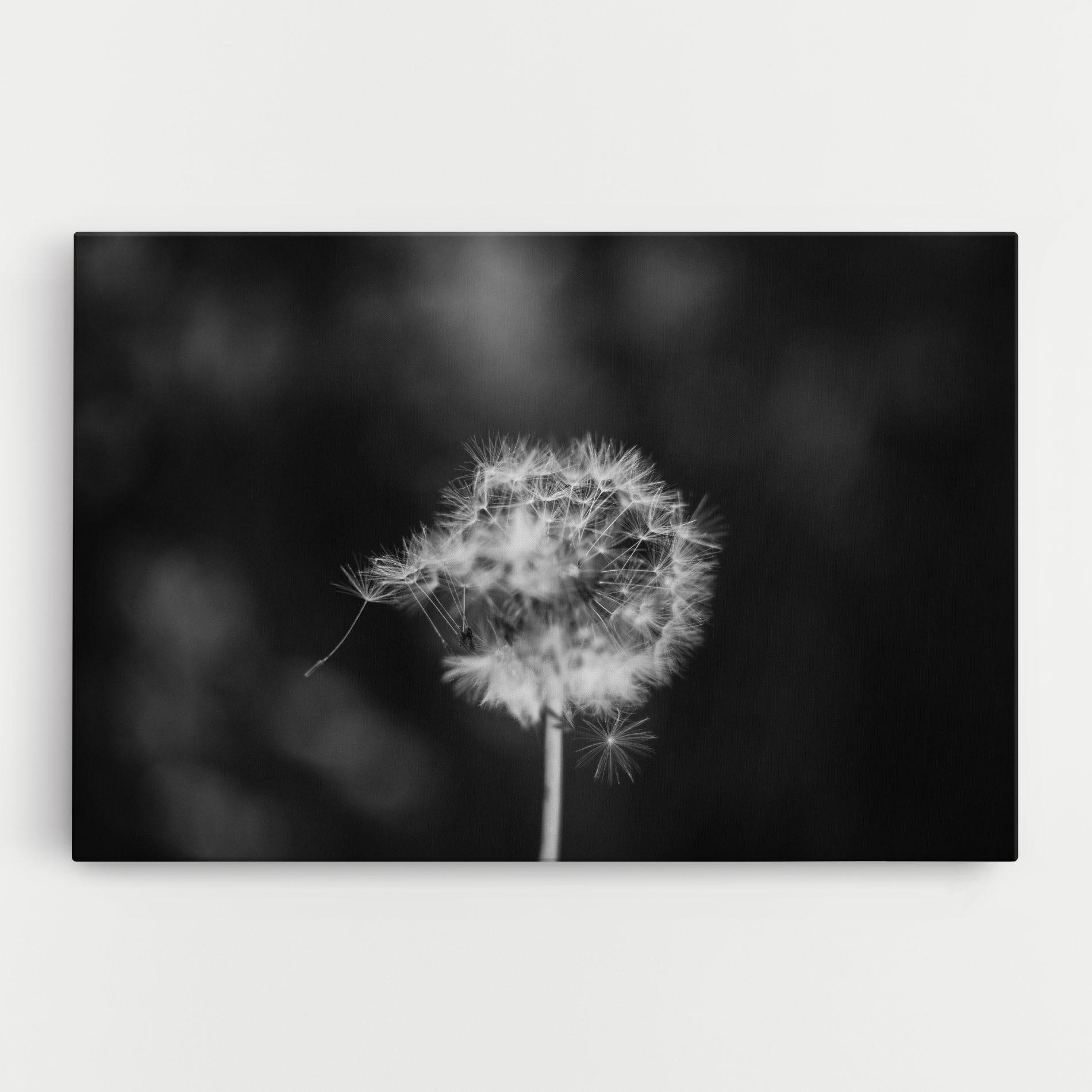Tablou Canvas Grey Dandelion mockup 0