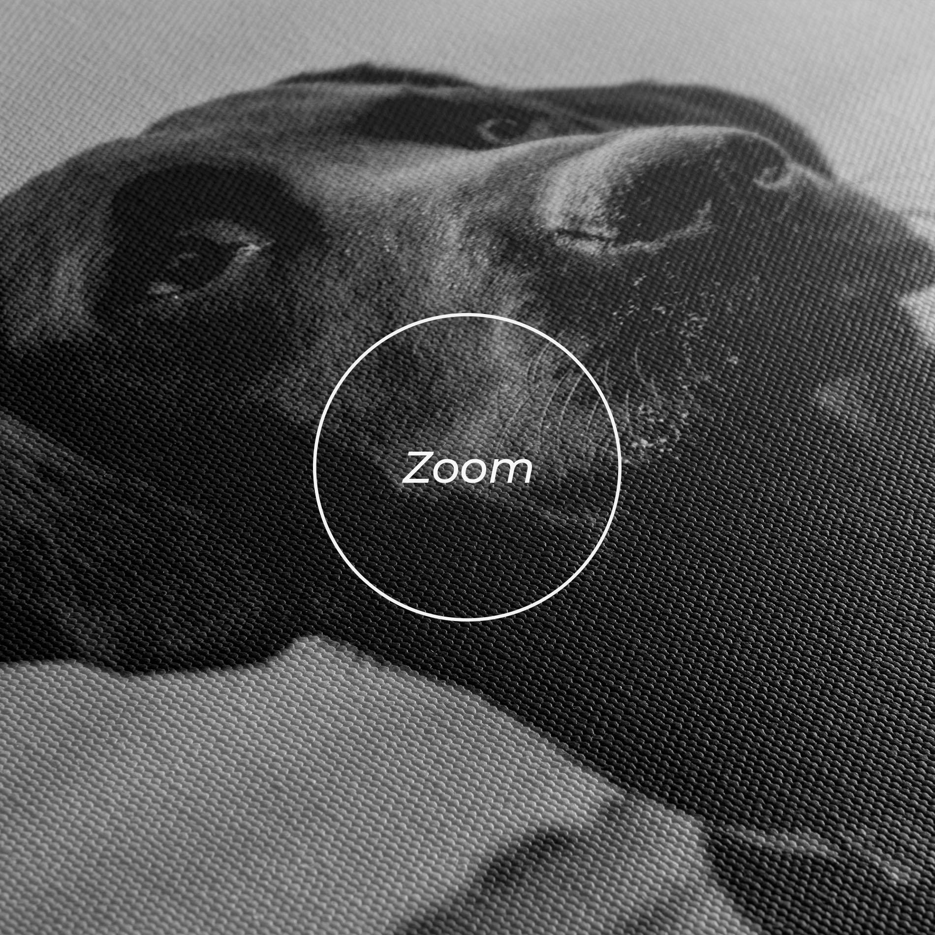 Tablou Canvas Black Dog mockup 3