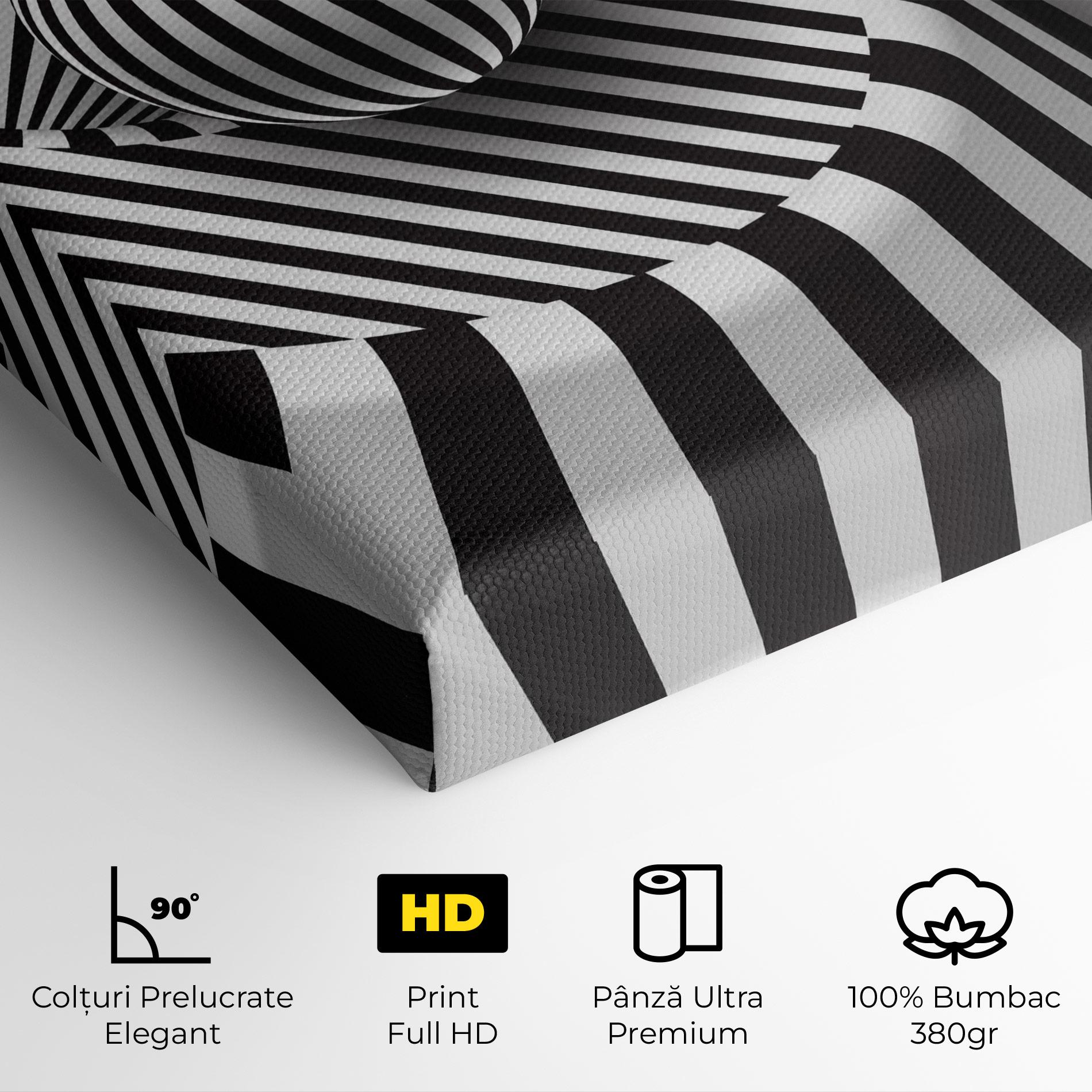 Tablou Canvas 3d Ball Zebra mockup 4