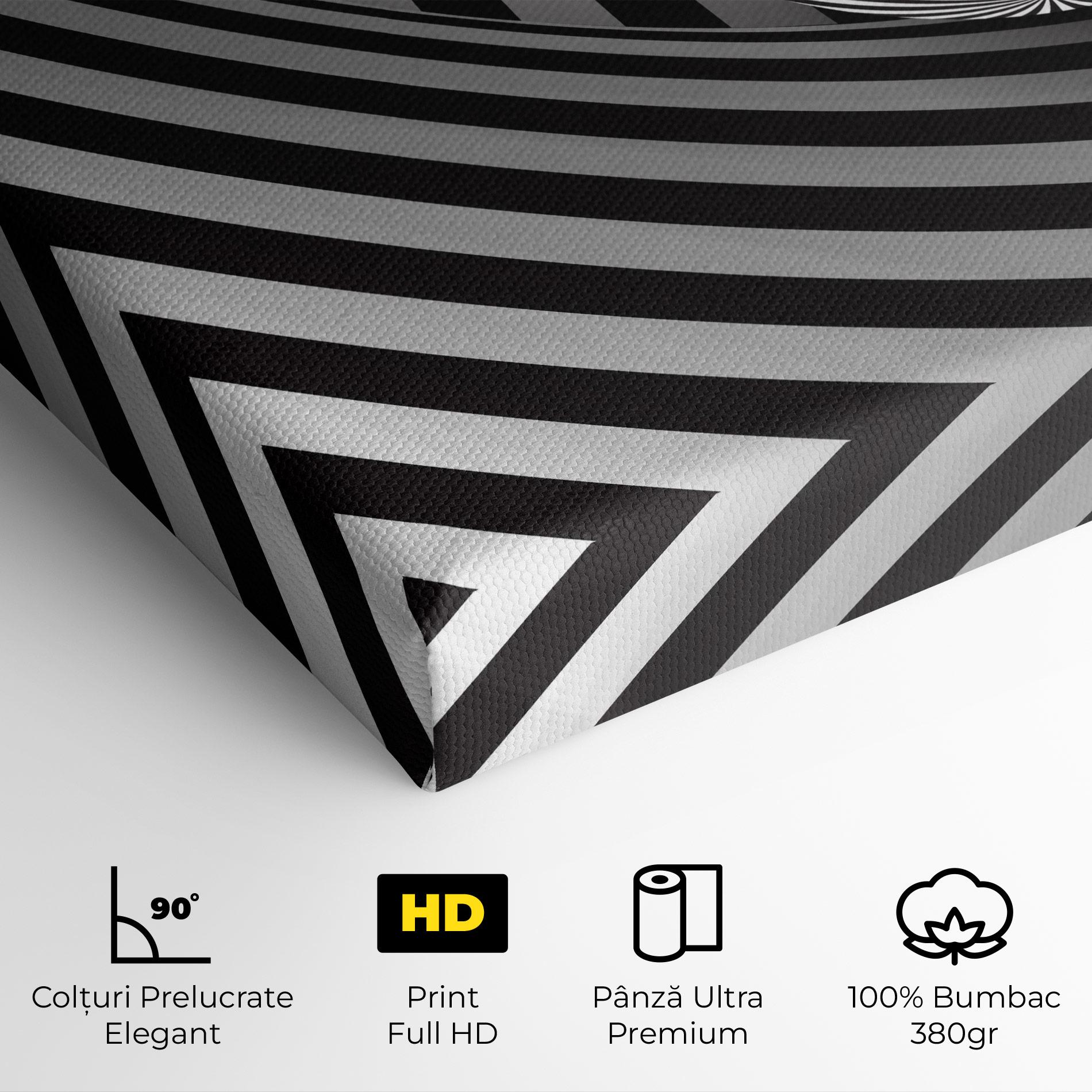 Tablou Canvas 3d Zebra Ball mockup 4