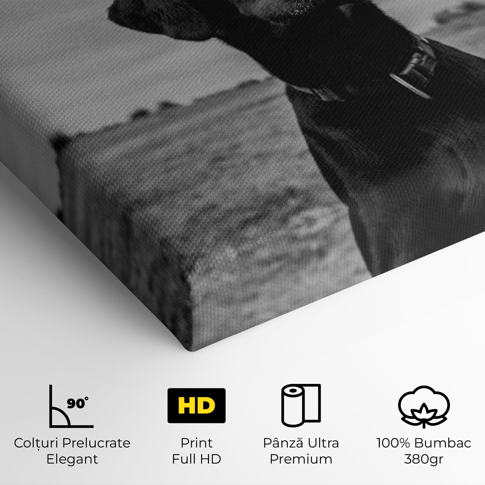 Tablou Canvas Black Dog mockup 4