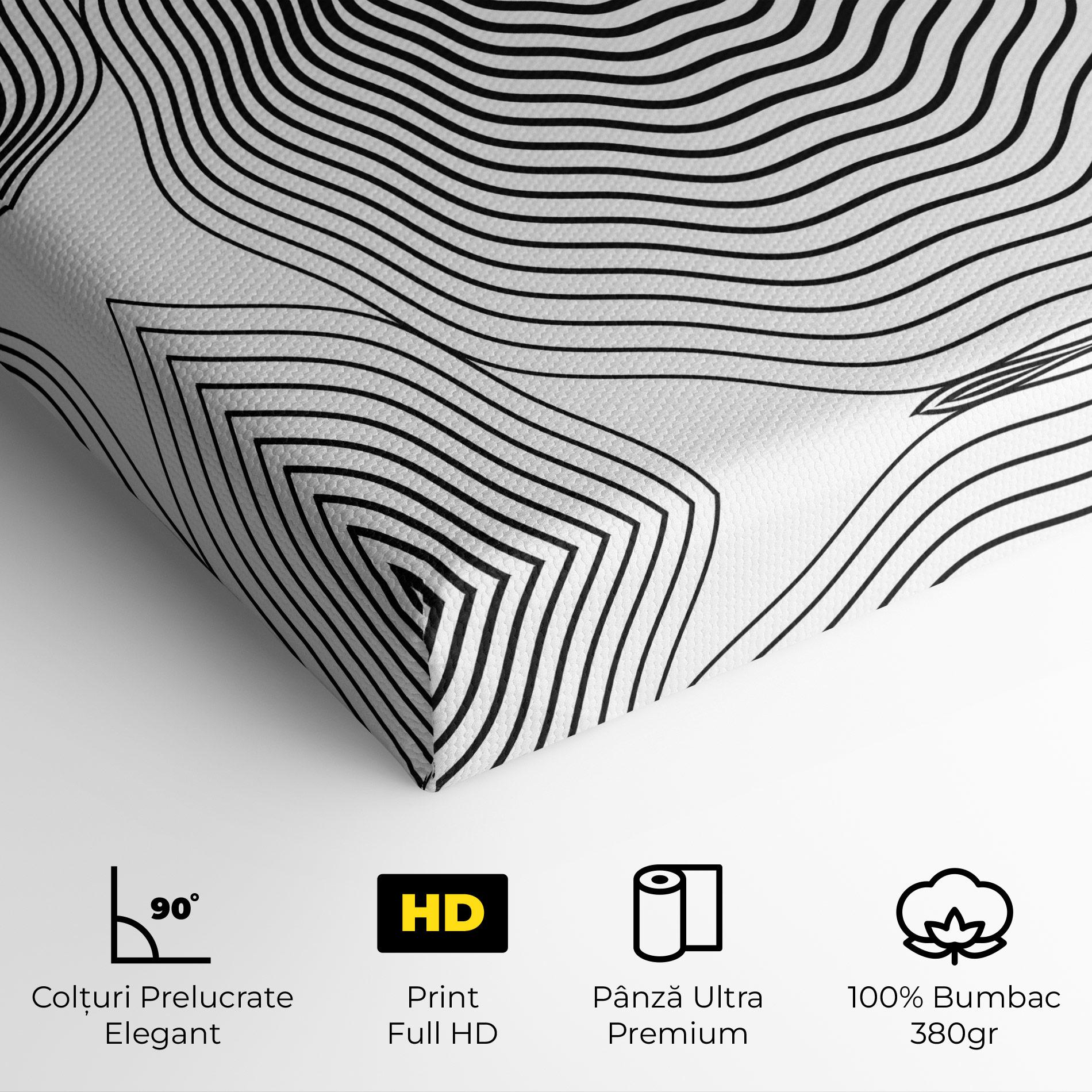 Tablou Canvas Black Line Art mockup 4